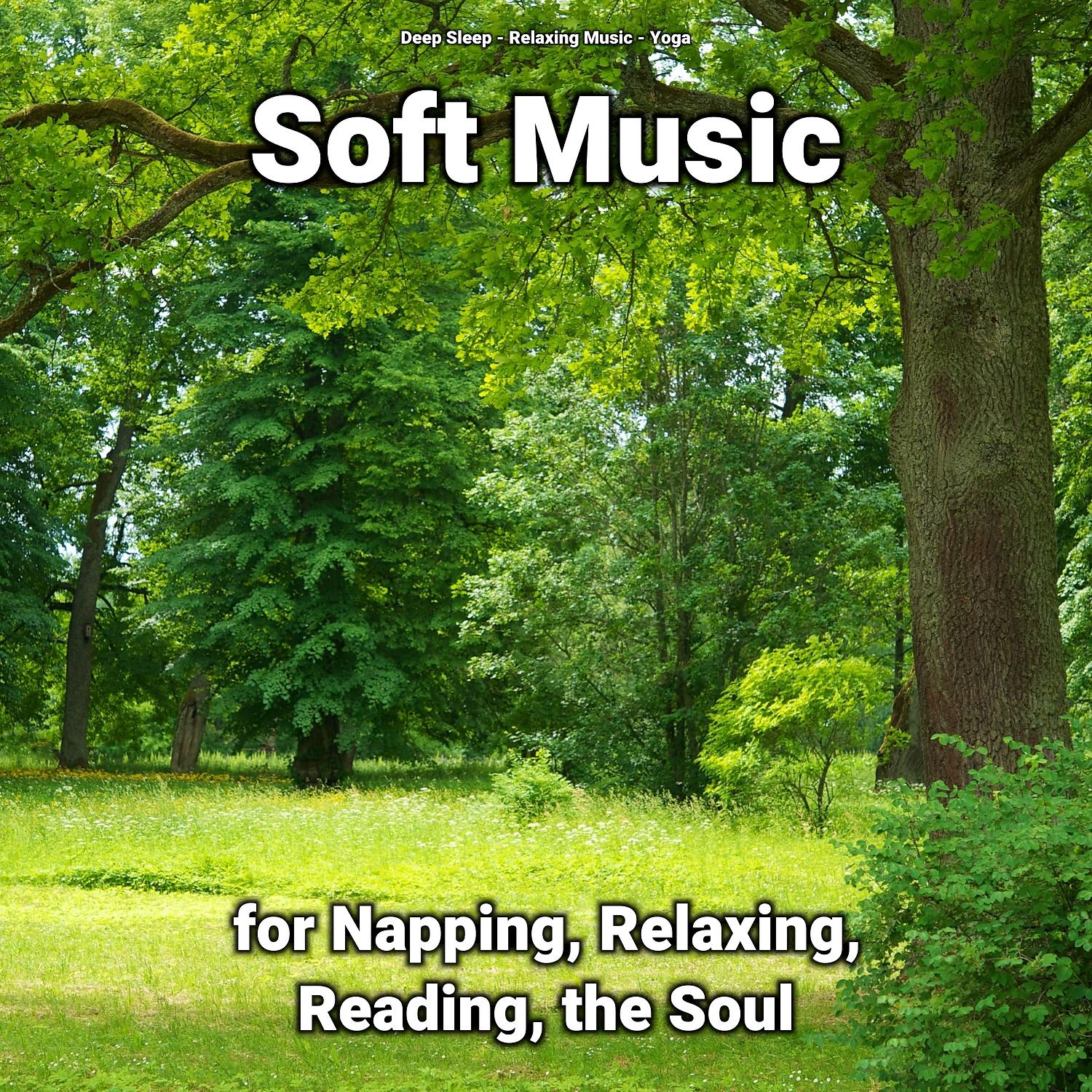 Постер альбома Soft Music for Napping, Relaxing, Reading, the Soul