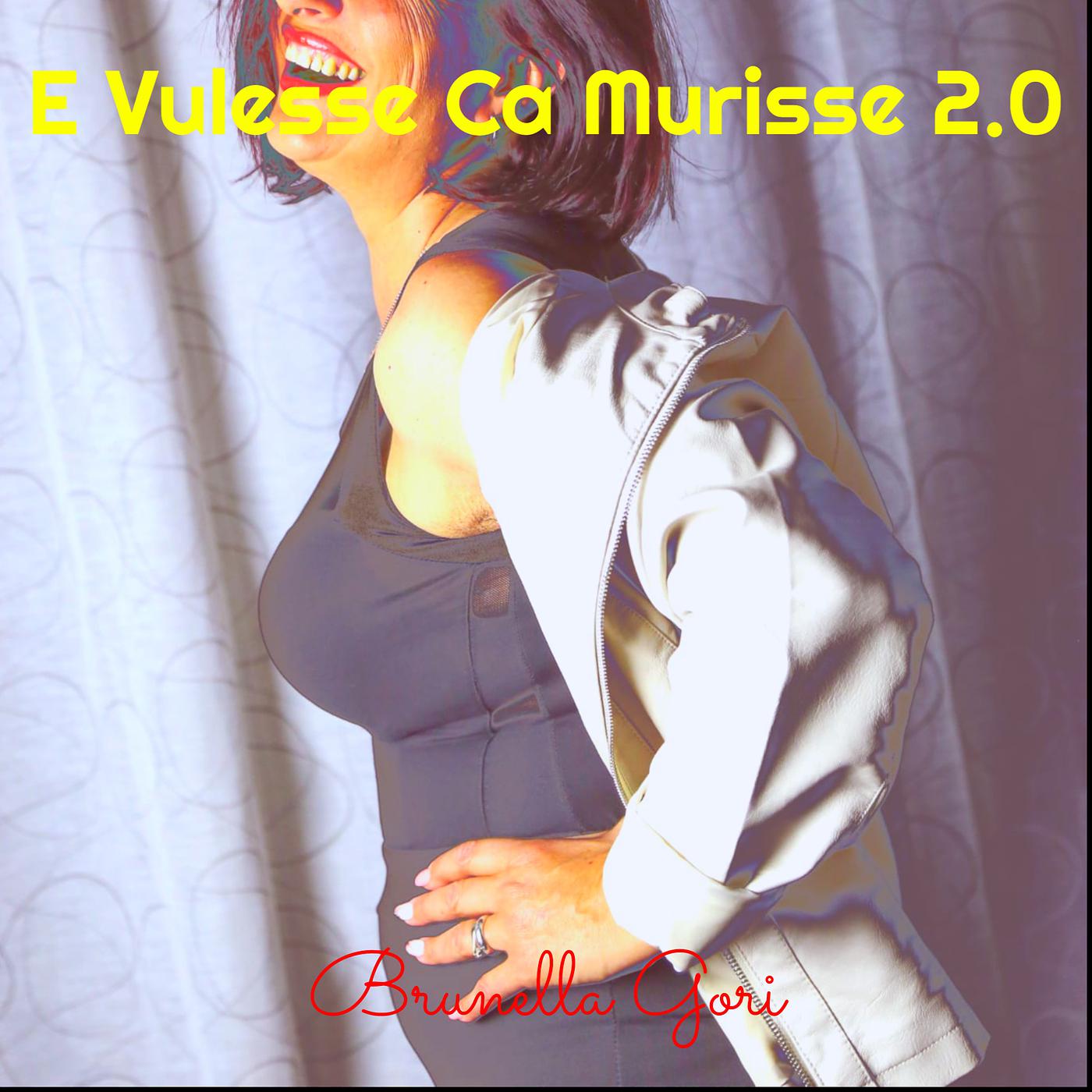 Постер альбома E Vulesse Ca Murisse 2.0