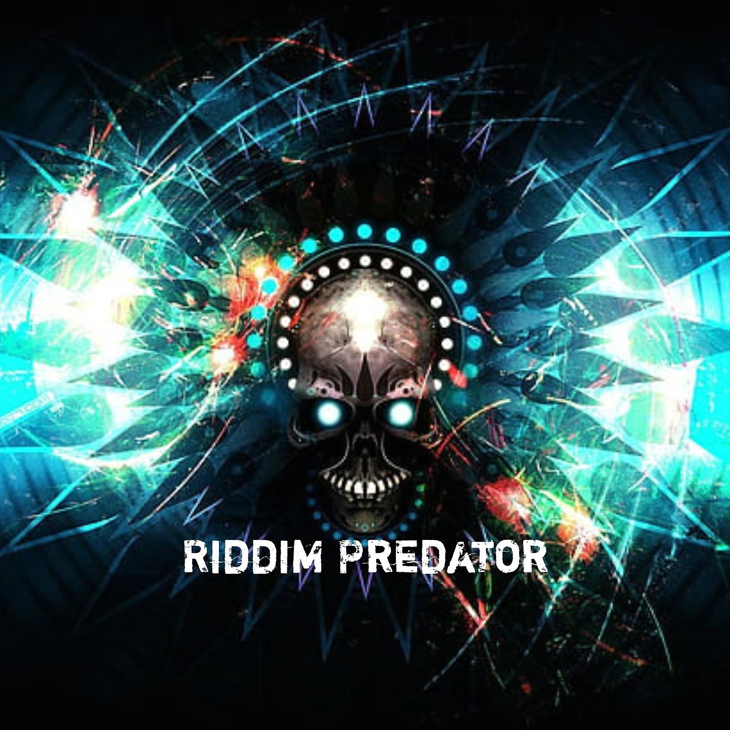 Постер альбома Riddim Predator