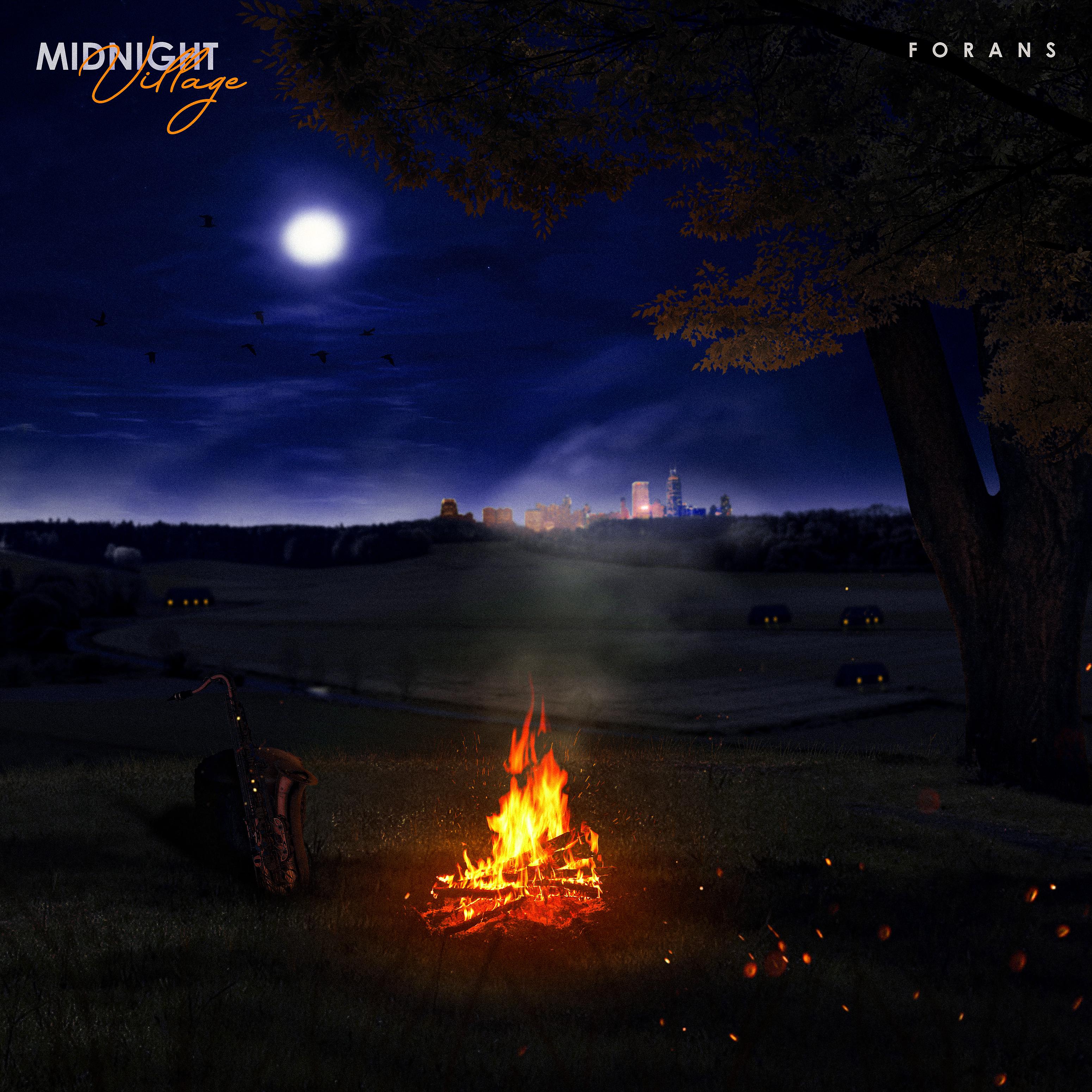 Постер альбома Midnight Village