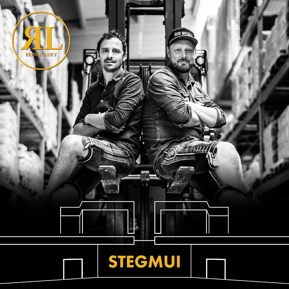 Постер альбома Stegmui