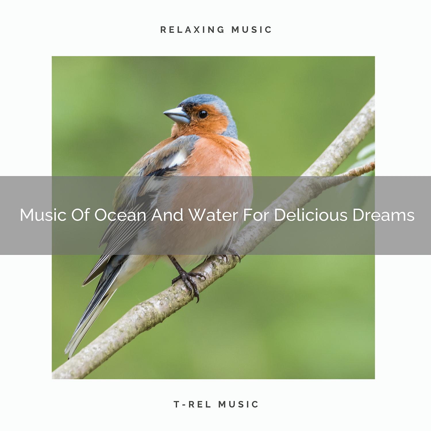 Постер альбома Music Of Ocean And Water For Delicious Dreams
