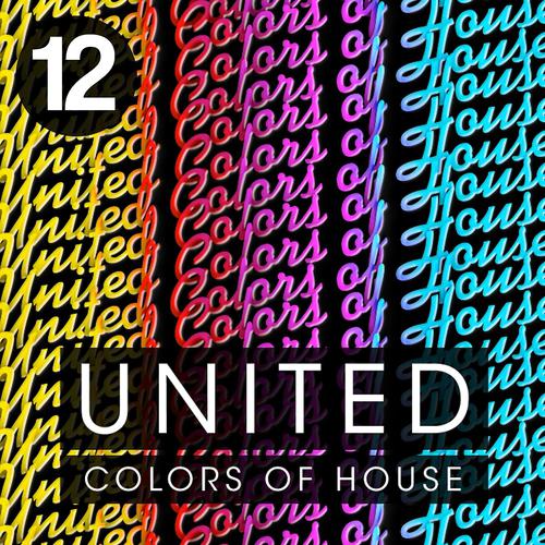 Постер альбома United Colors of House, Vol. 12