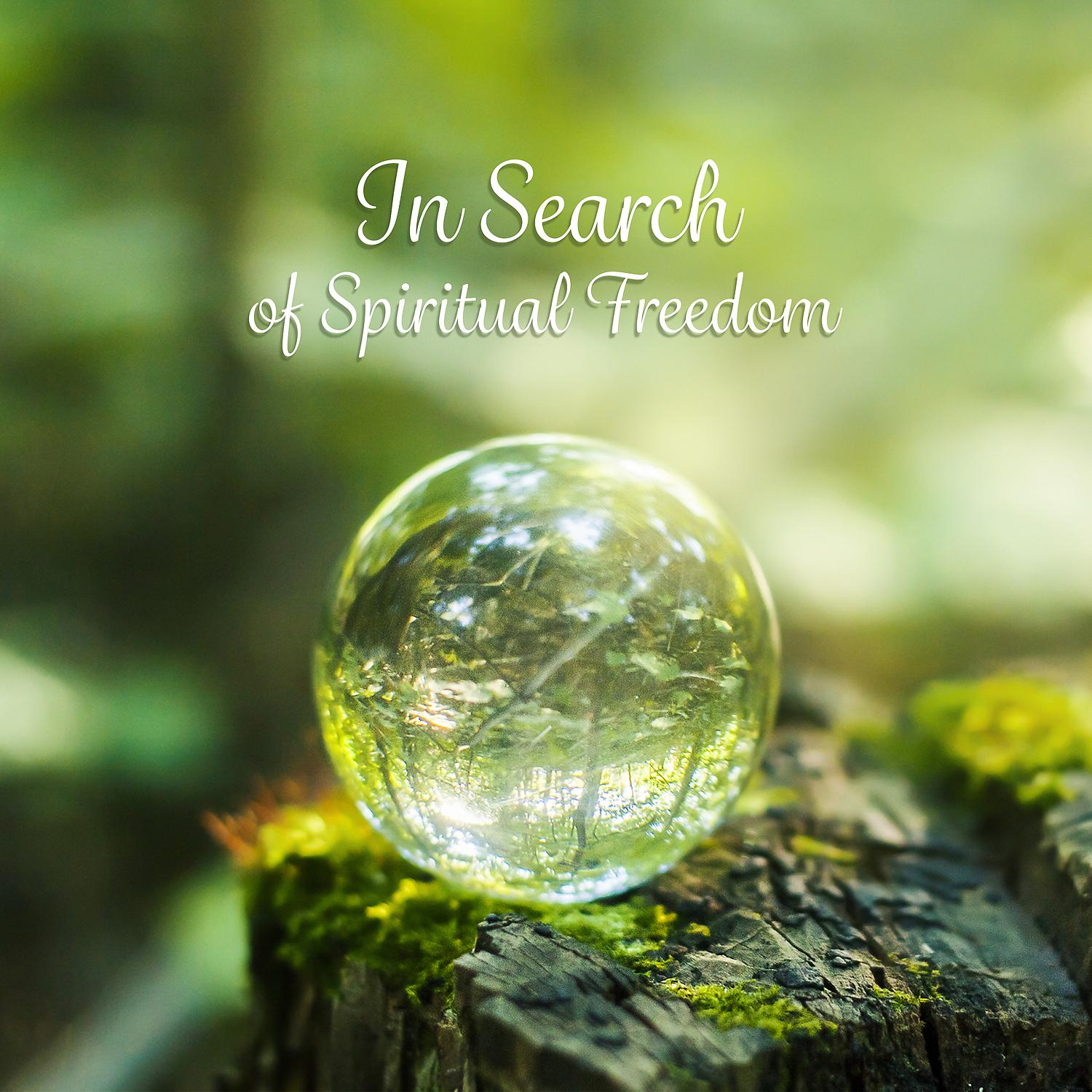 Постер альбома In Search of Spiritual Freedom