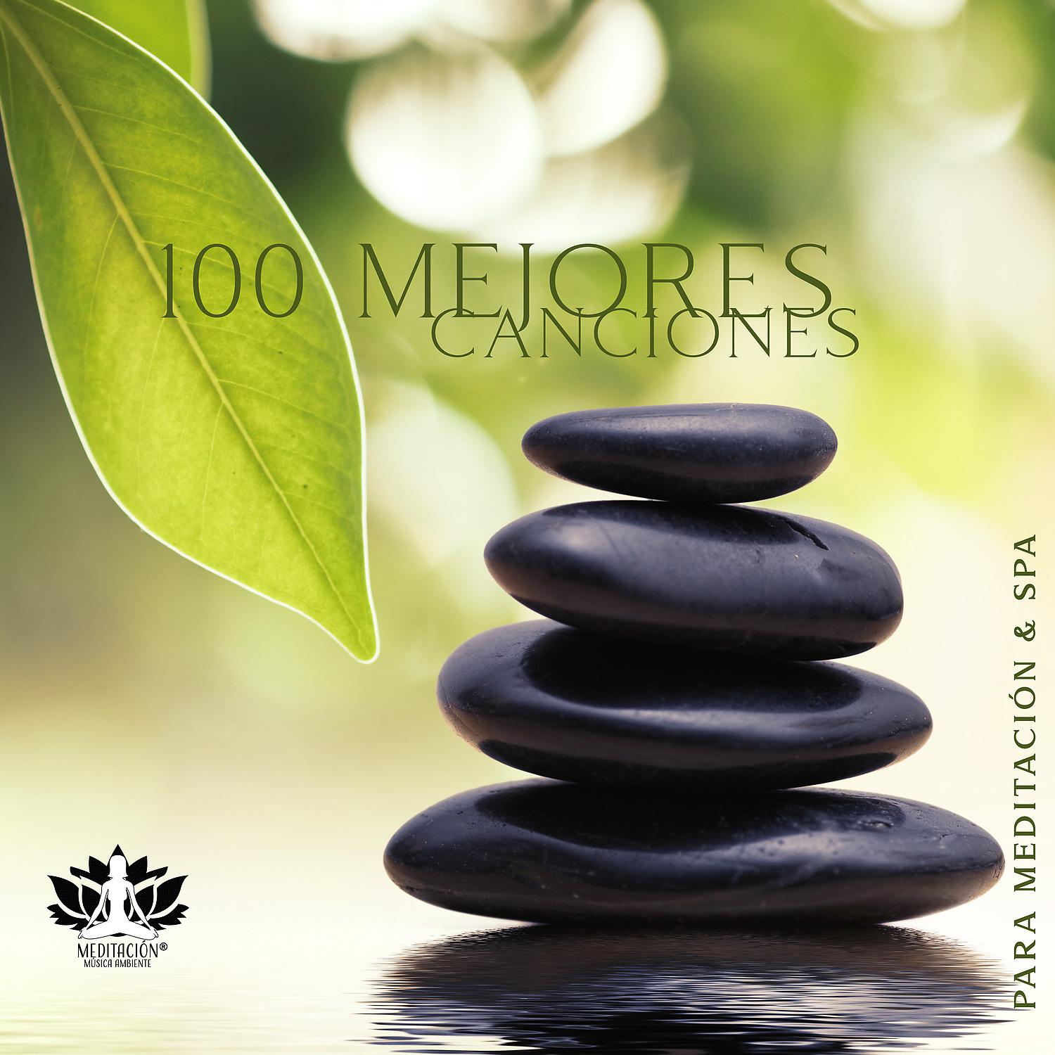 Постер альбома 100 Mejores Canciones para Meditacion & SPA: Relajacion Profunda, Masaje, Yoga Matutino, Sonidos de la Naturaleza Pura