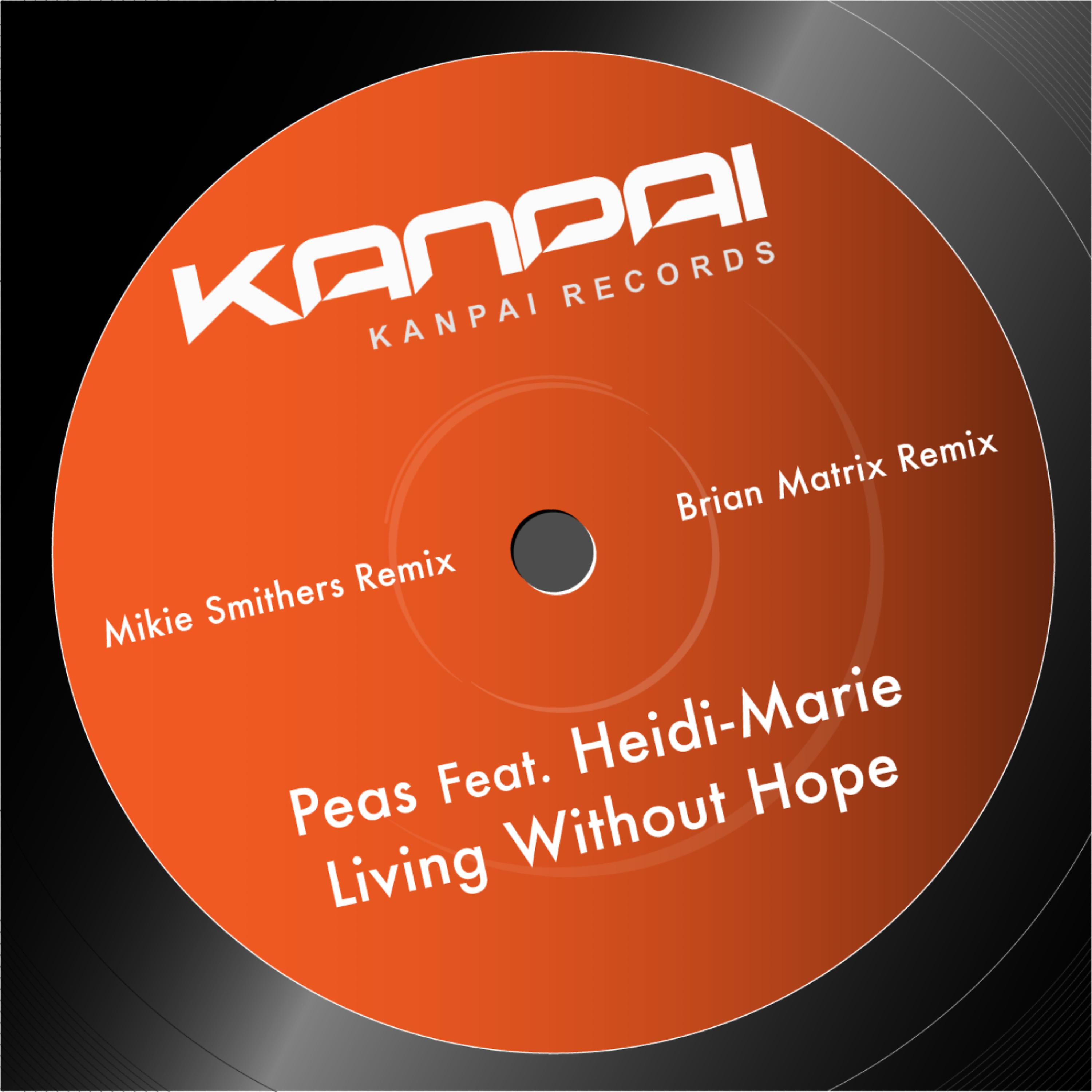 Постер альбома Living Without Hope Remixes