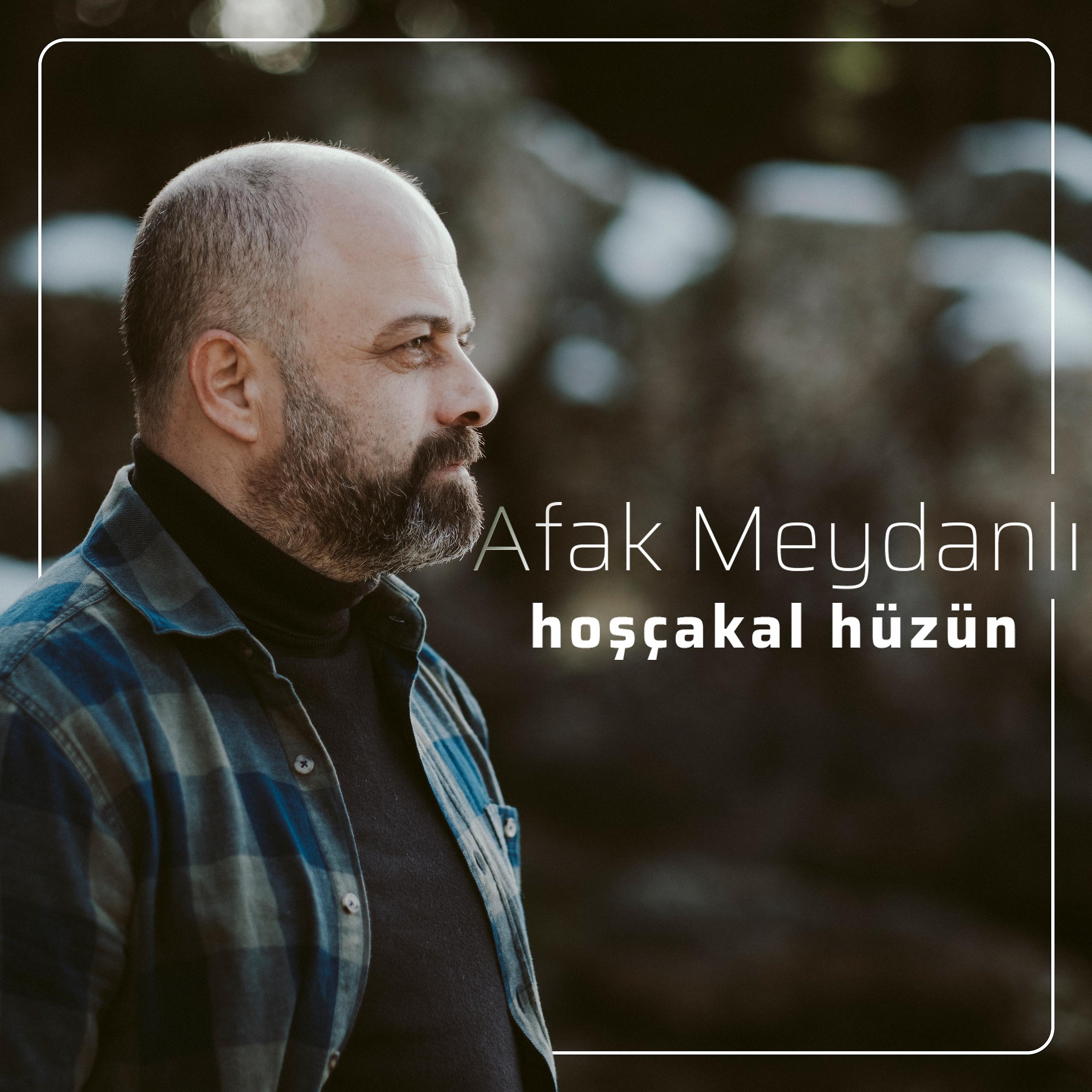 Постер альбома Hoşçakal Hüzün