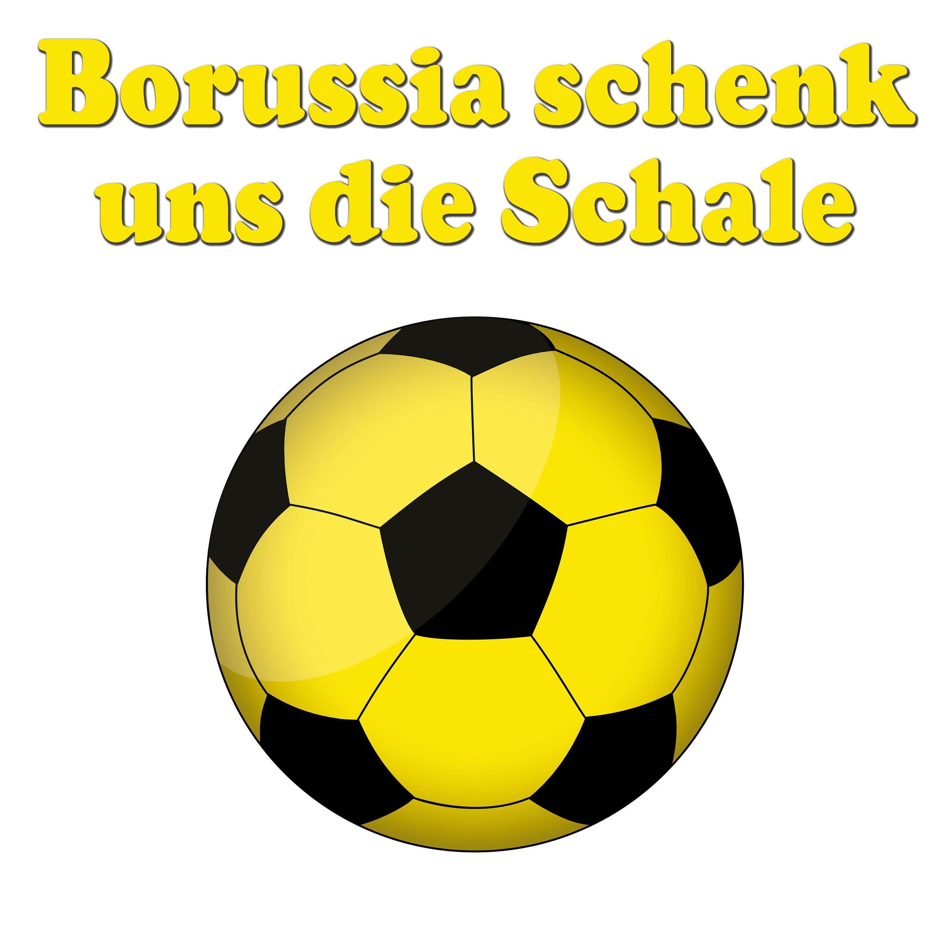 Постер альбома Borussia schenk uns die Schale
