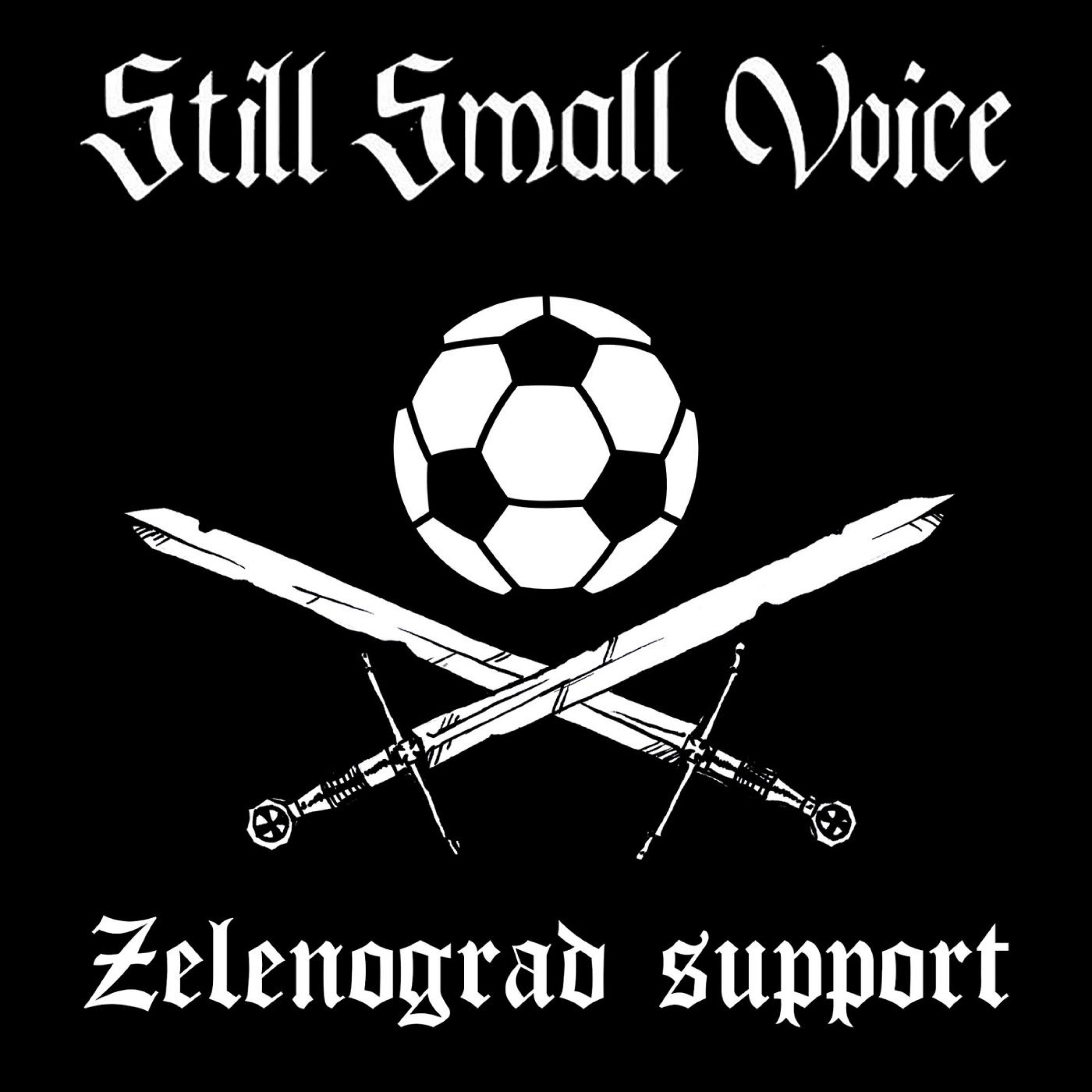 Постер альбома Zelenograd Support