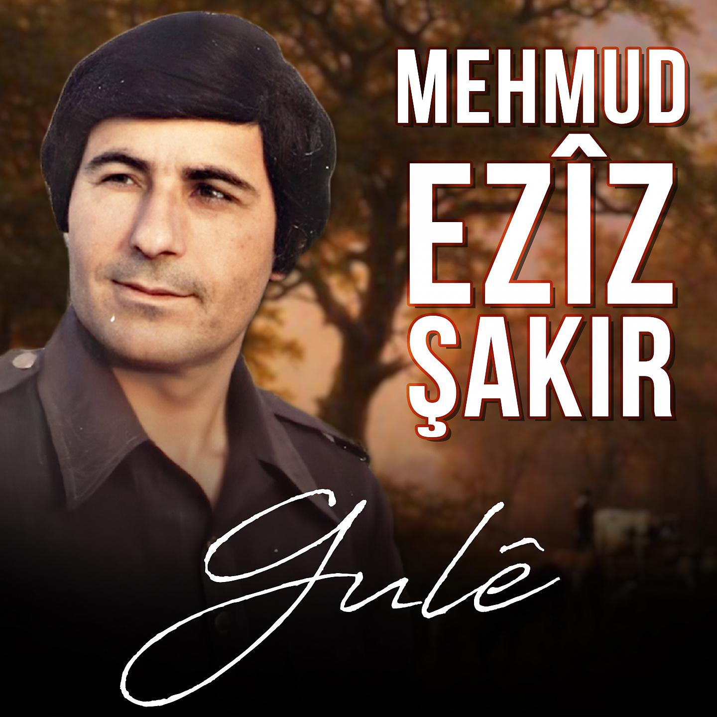 Постер альбома Gulê