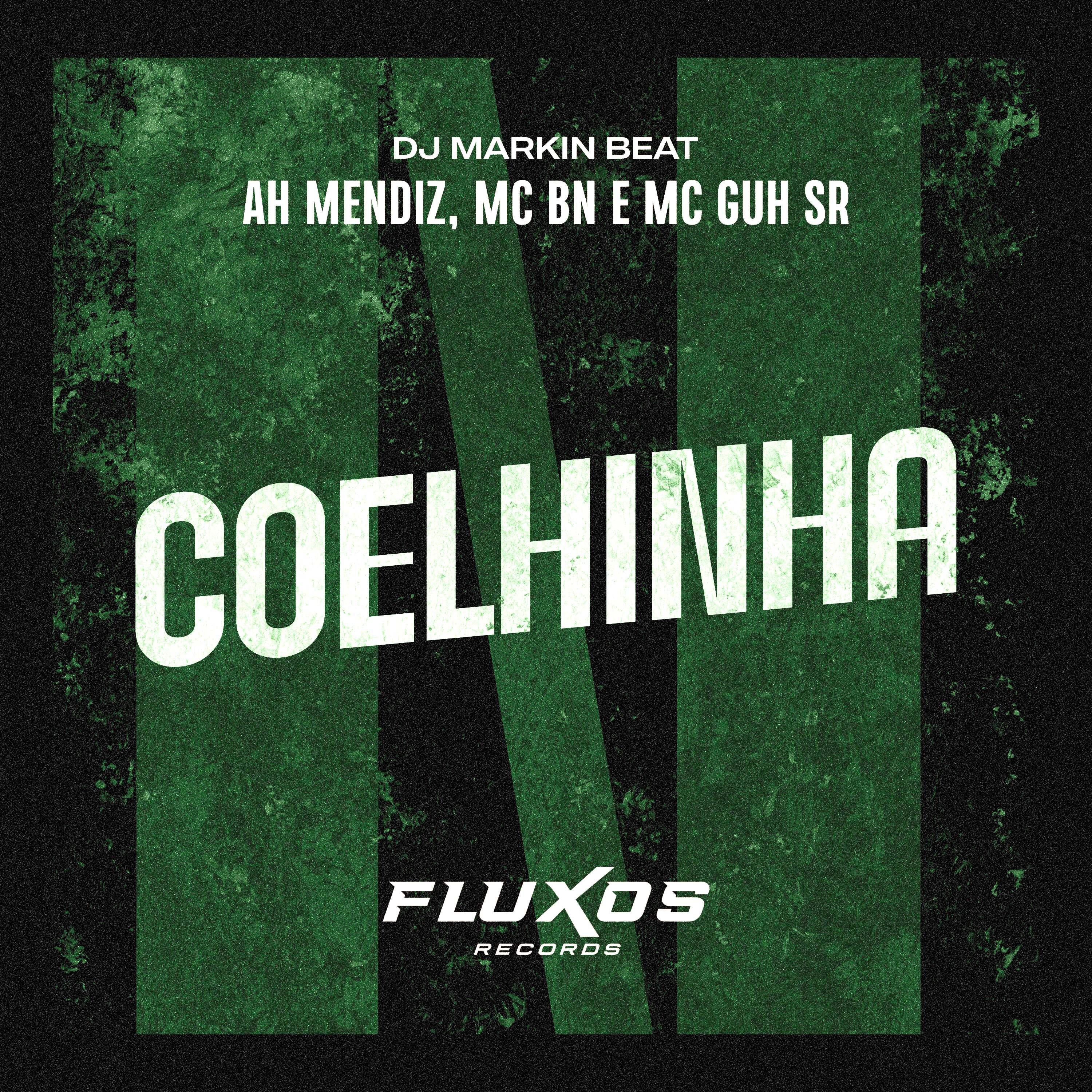 Постер альбома Coelhinha
