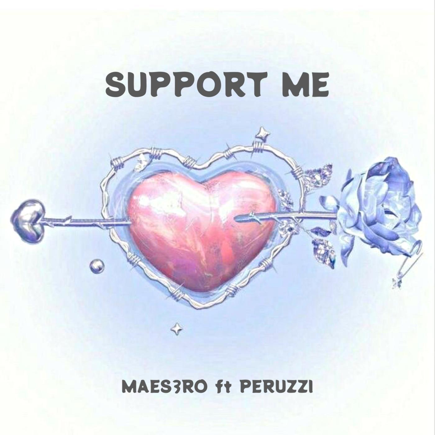 Постер альбома Support Me (feat. Peruzzi)