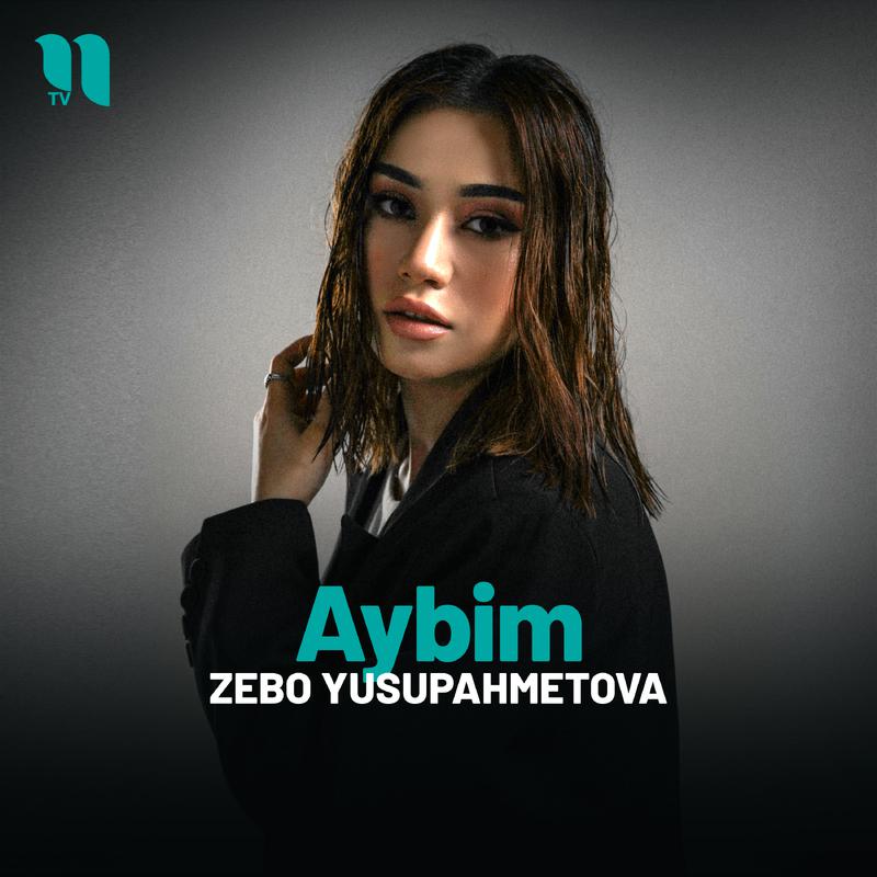 Постер альбома Aybim