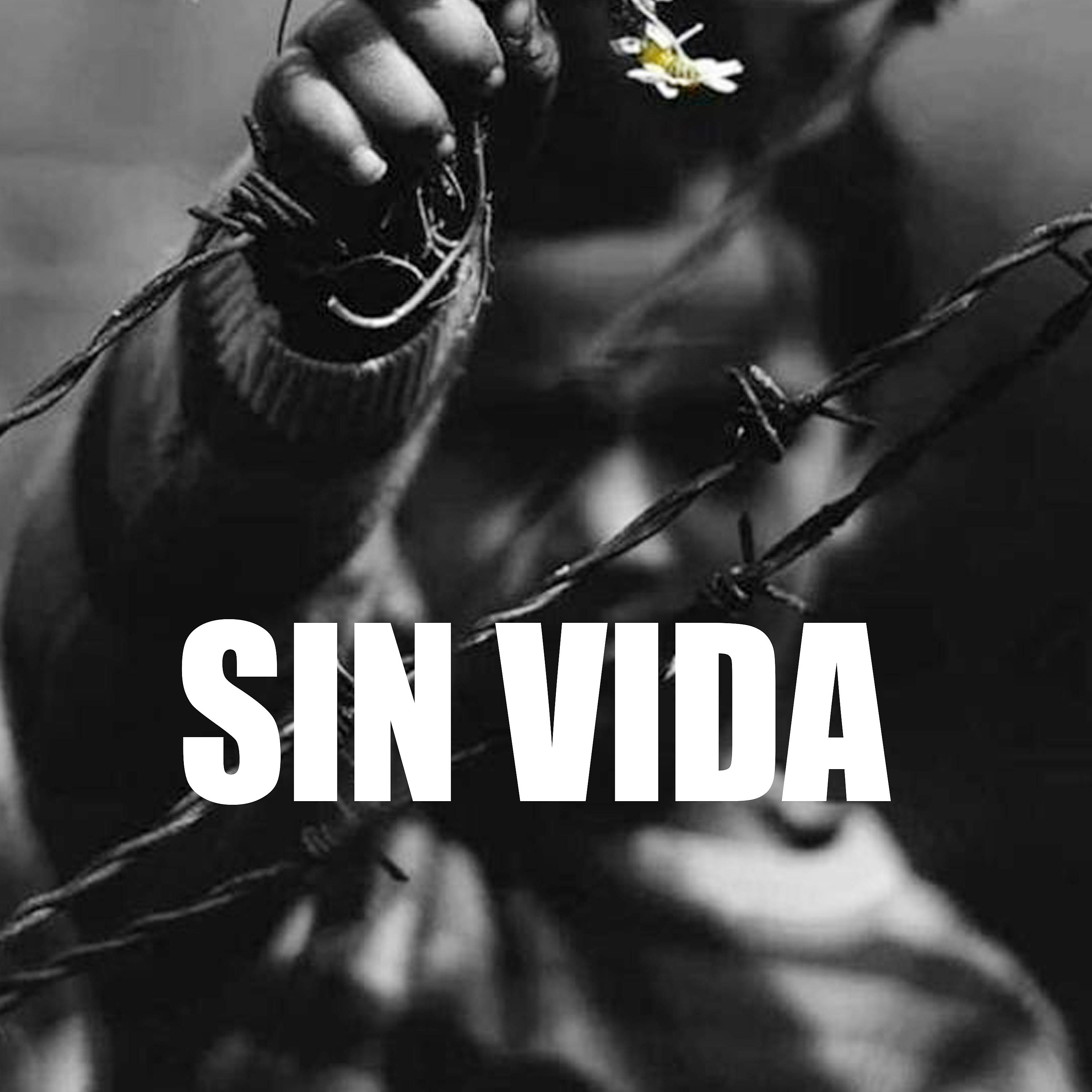 Постер альбома Sin Vida