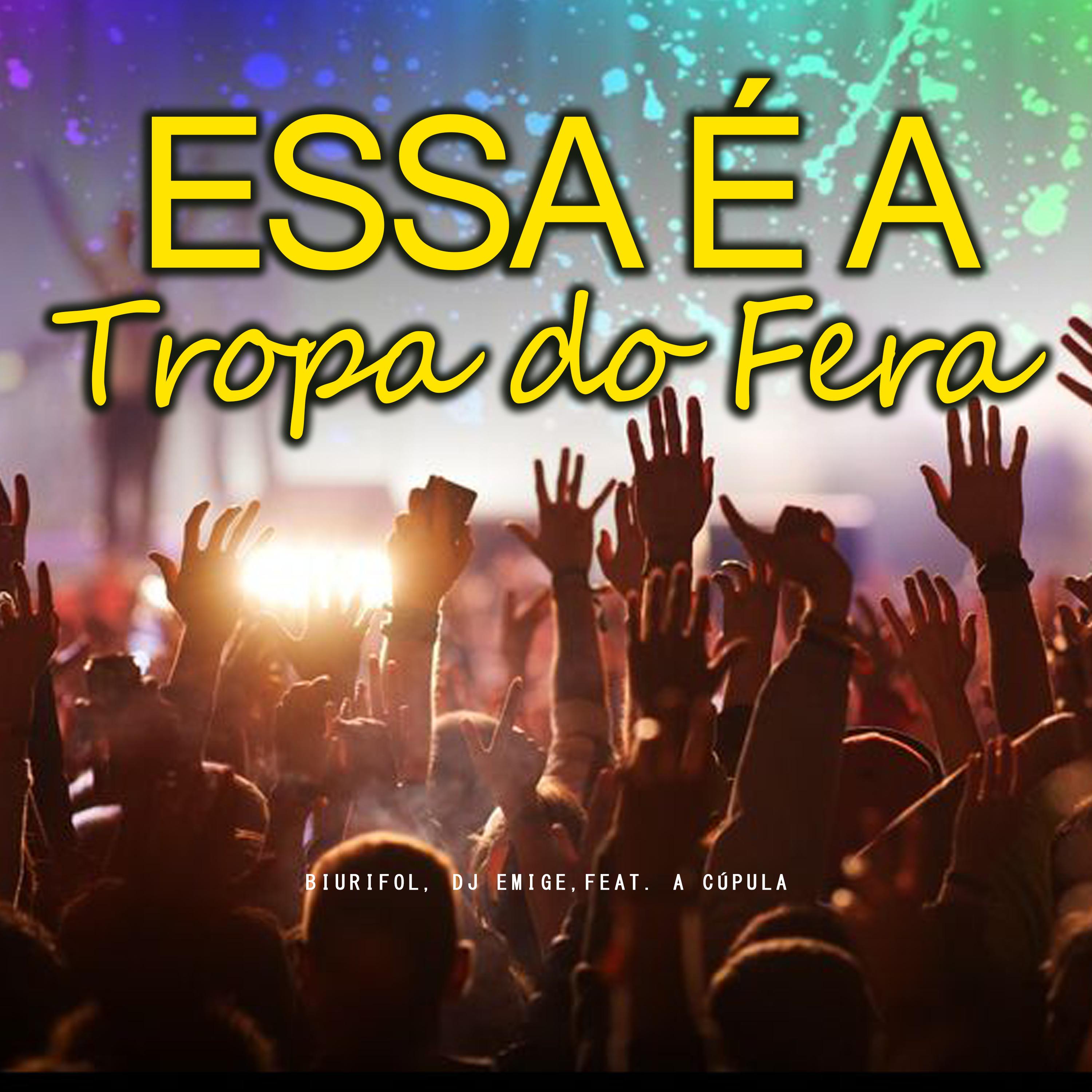 Постер альбома Essa É a Tropa do Fera