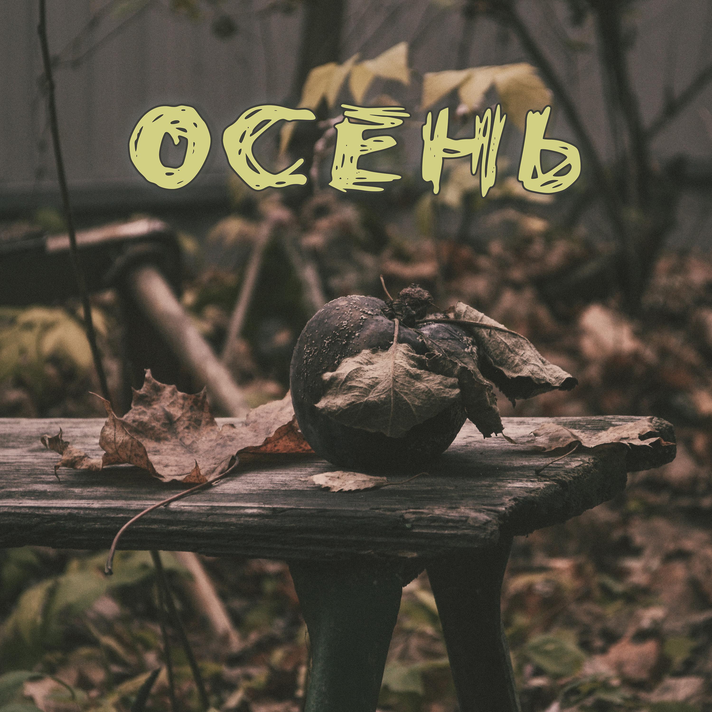 Постер альбома Осень (Prod. by Hapin Beats)