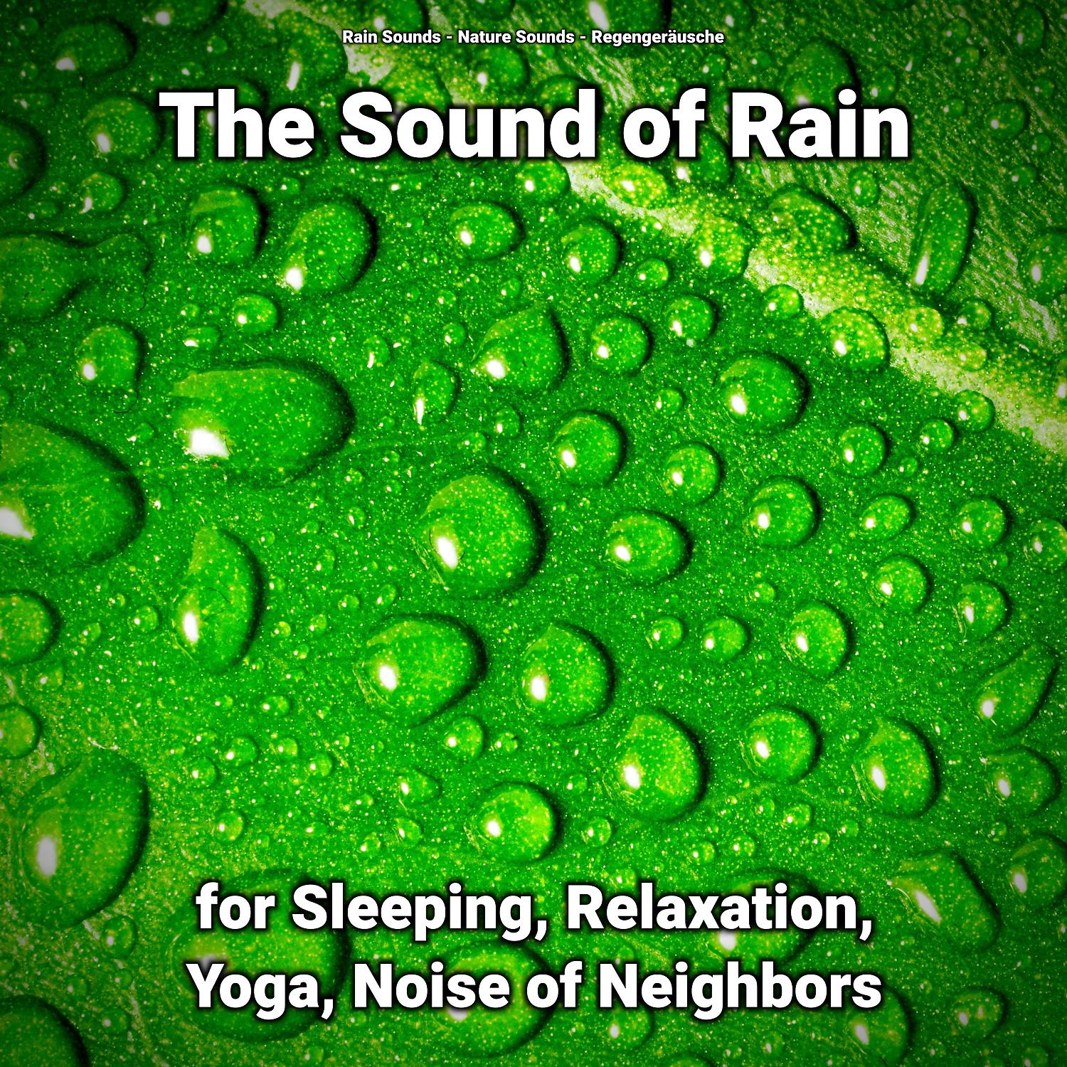 Постер альбома The Sound of Rain for Sleeping, Relaxation, Yoga, Noise of Neighbors