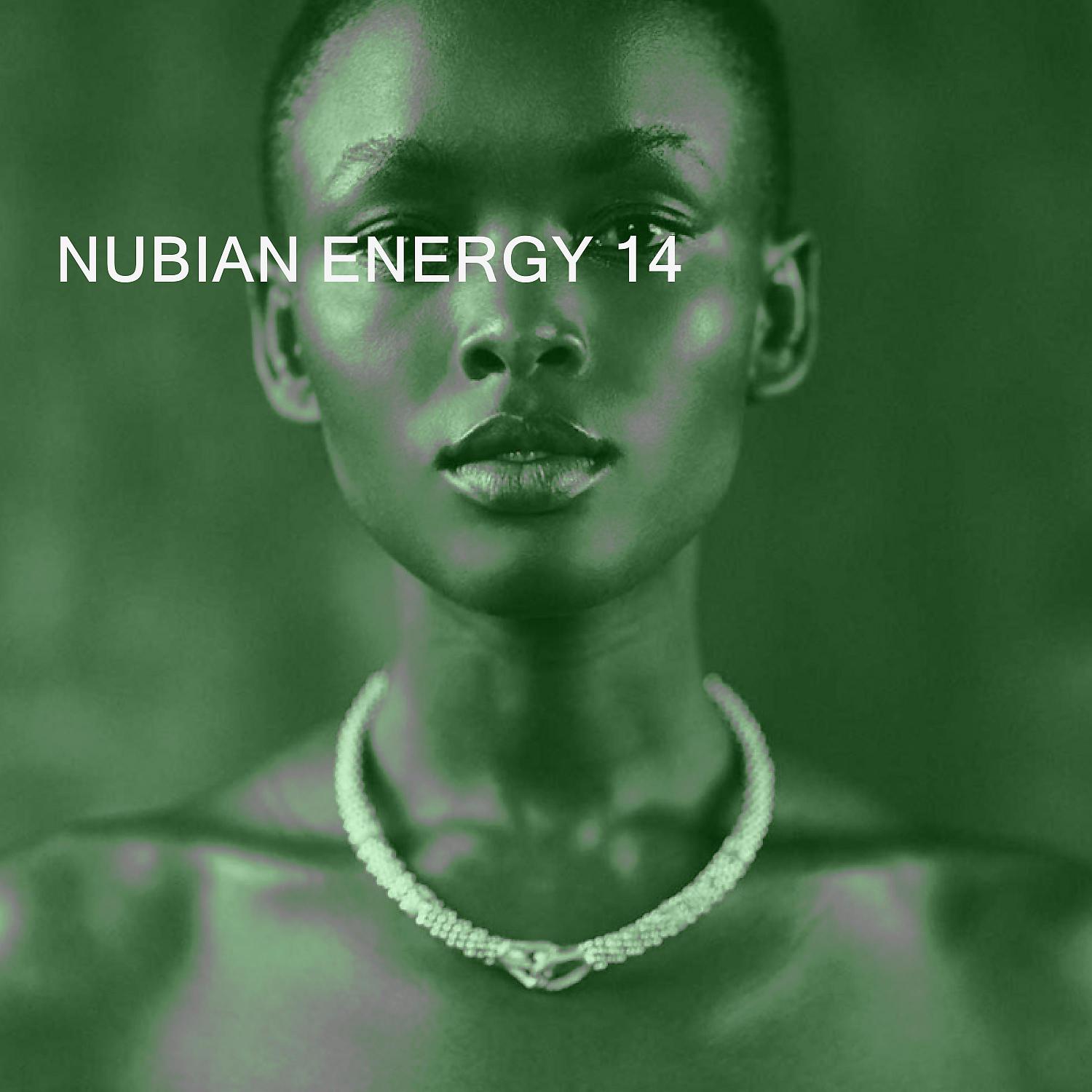 Постер альбома NUBIAN ENERGY 14