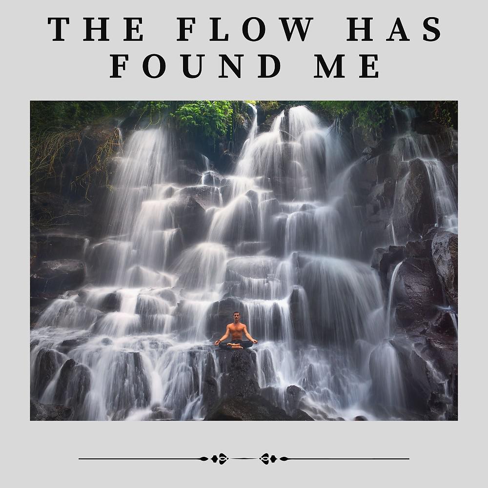 Постер альбома The Flow Has Found Me
