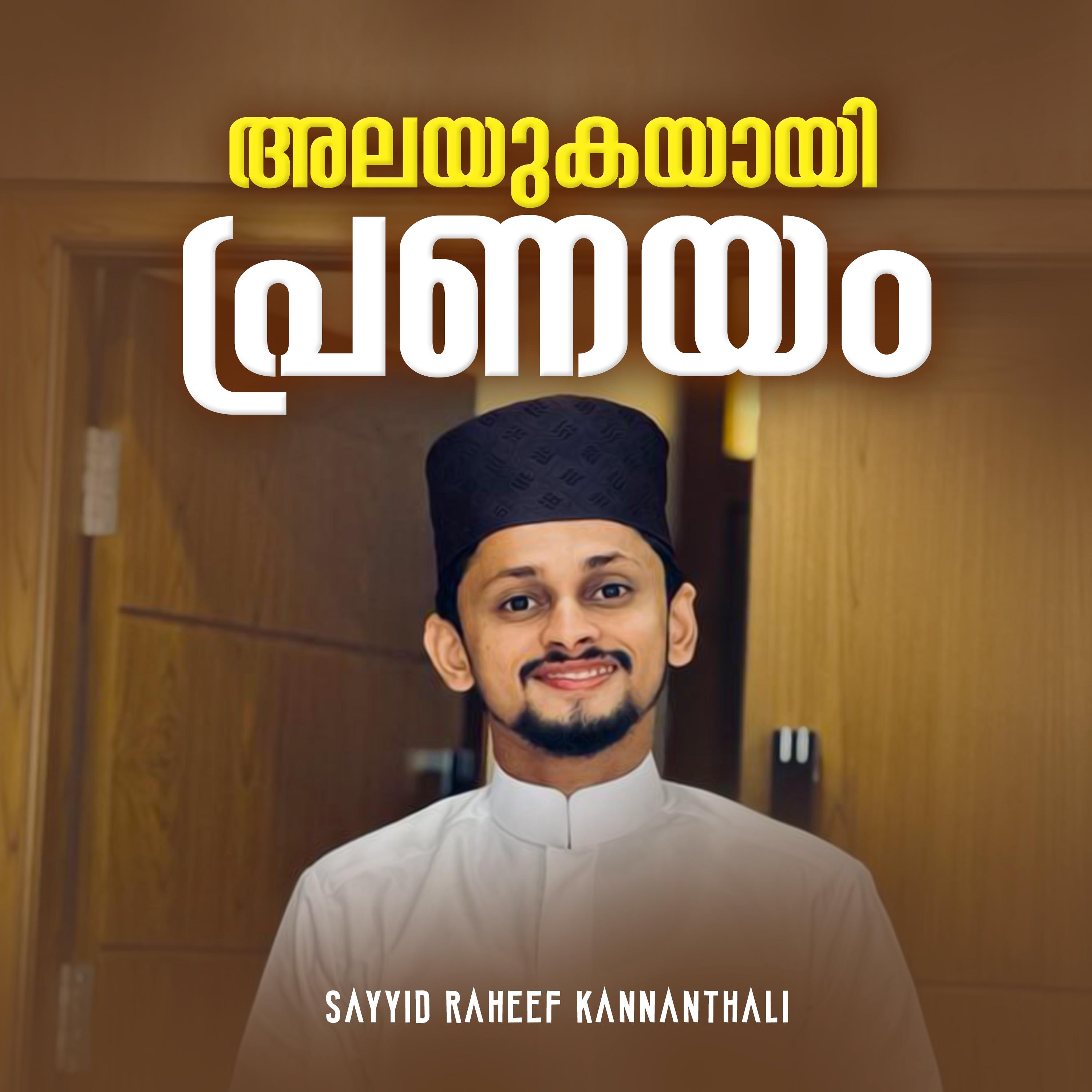 Постер альбома Alayukayayi pranayam