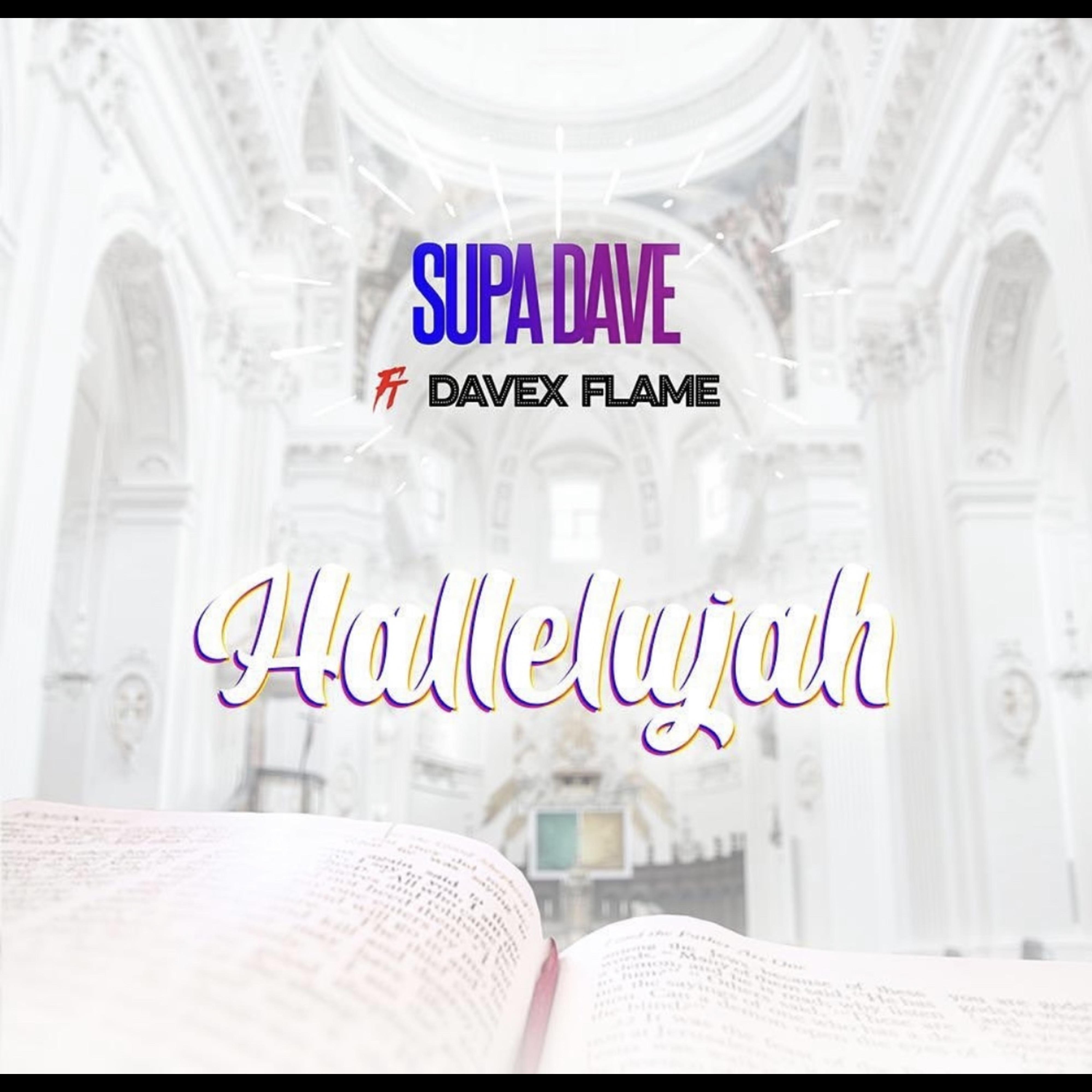 Постер альбома Hallelujah (feat. Davex Flame)