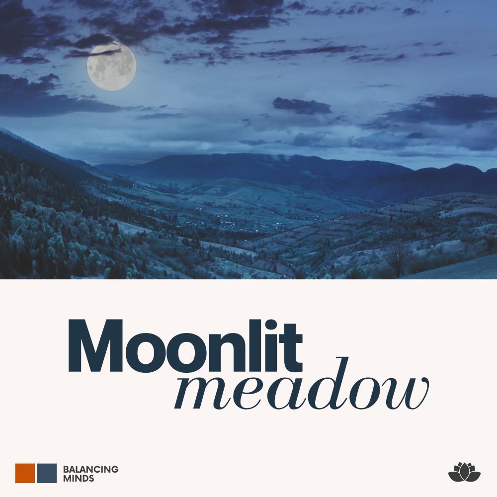 Постер альбома Moonlit Meadow