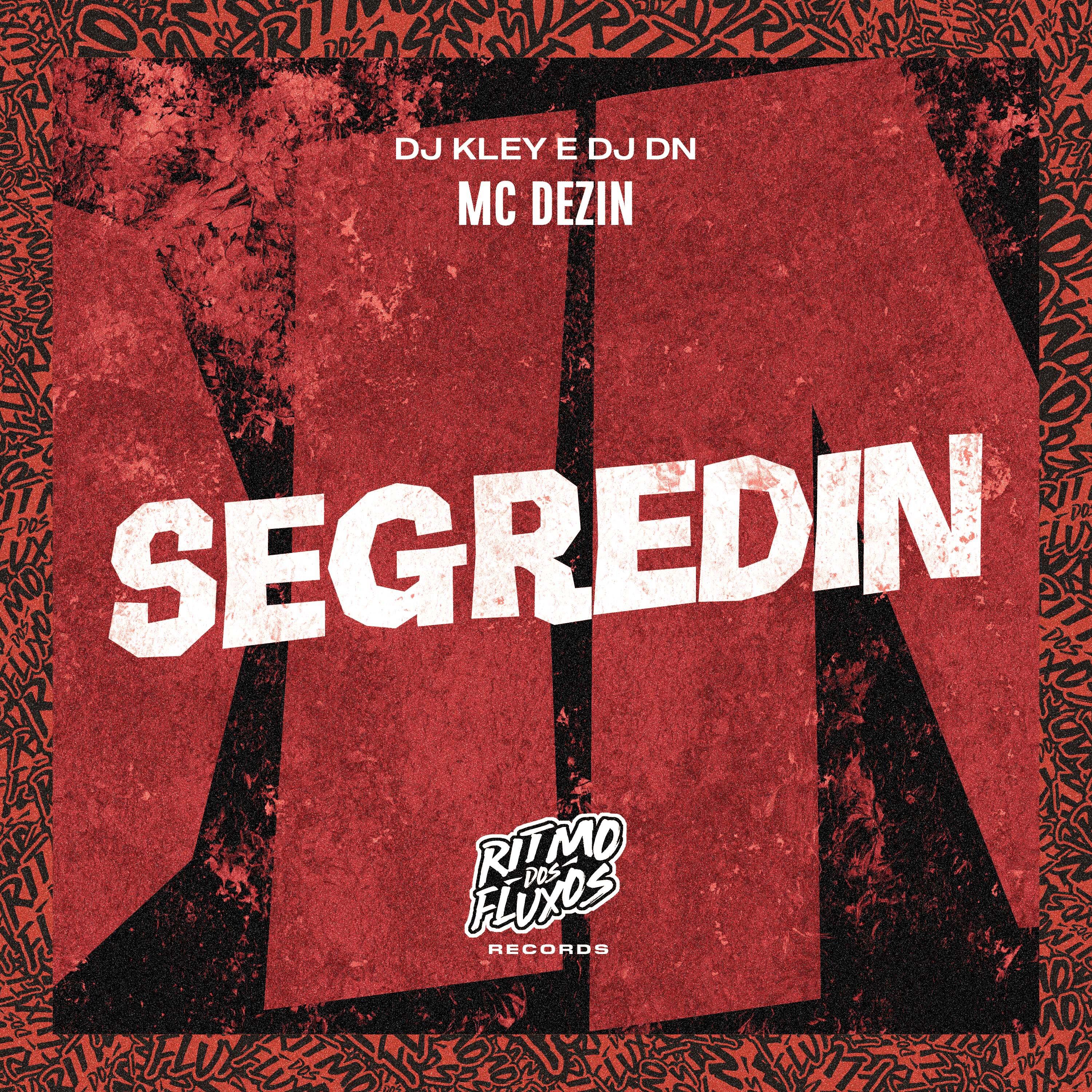 Постер альбома Segredin