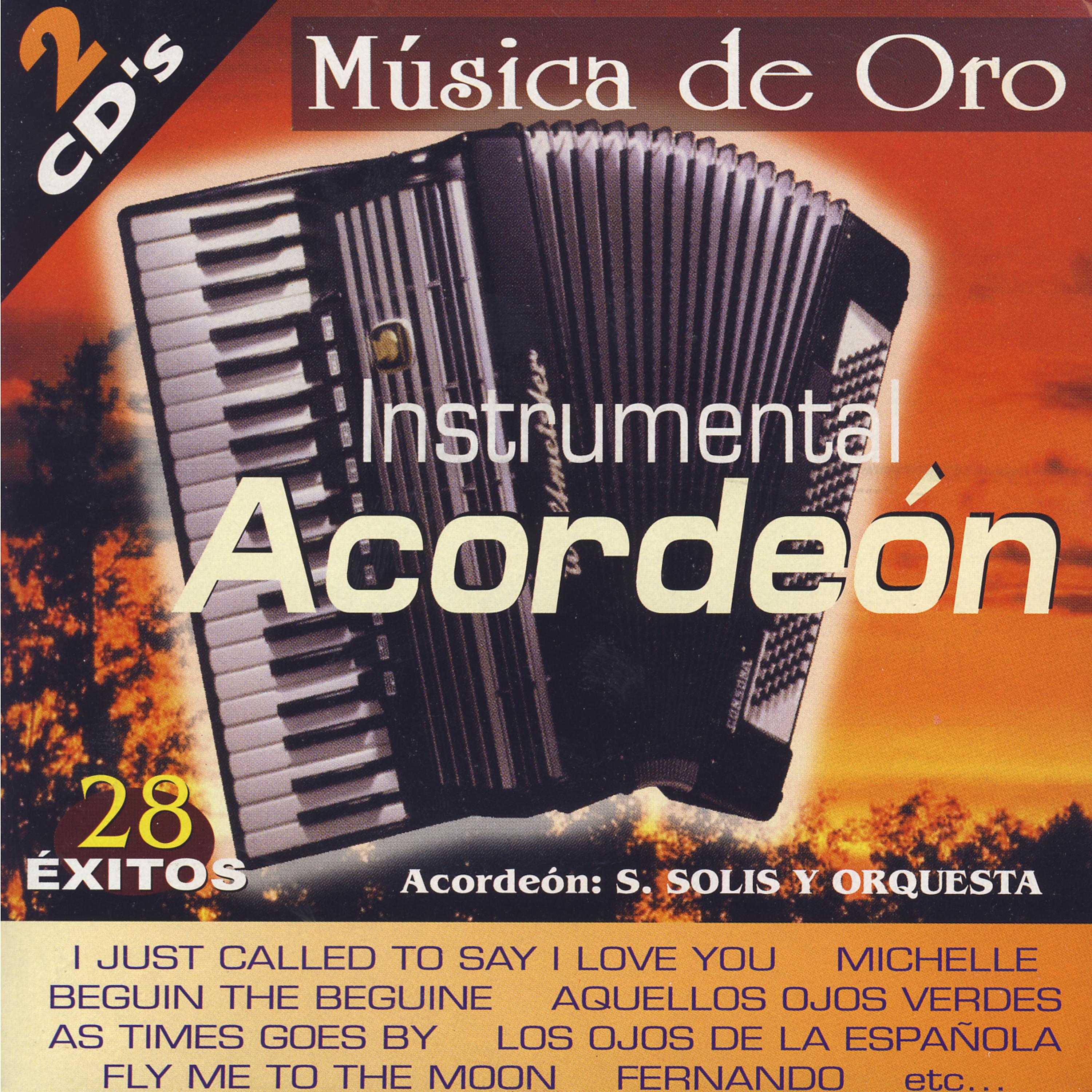 Постер альбома Instrumental Acordeón (28 Hits in Accordion)