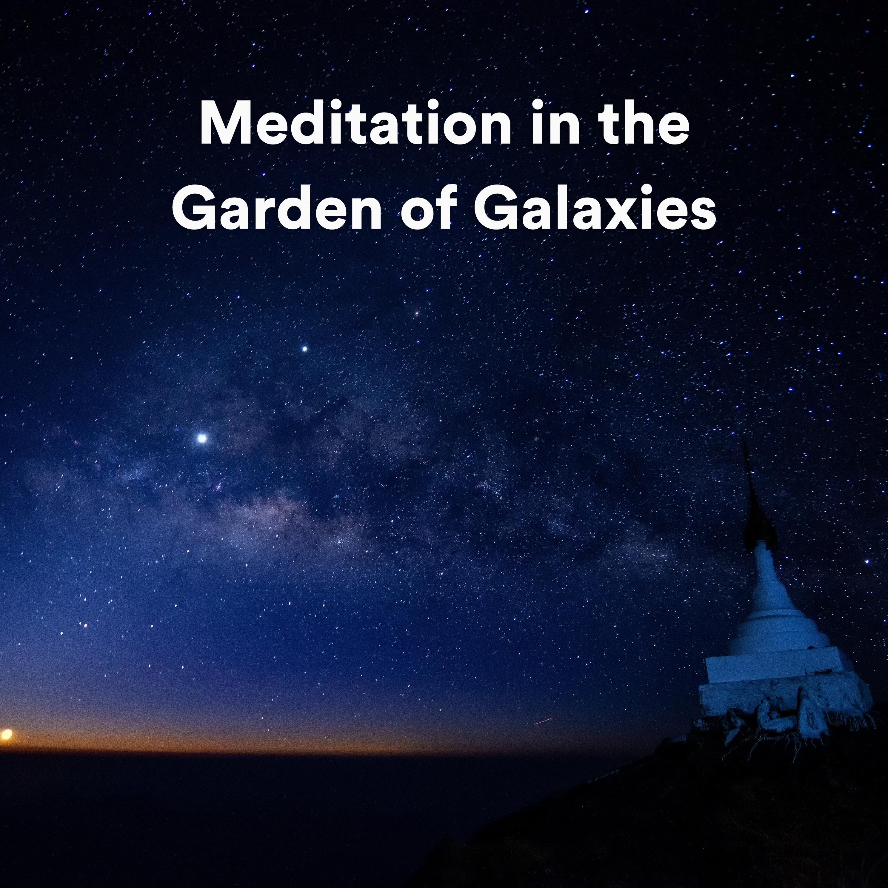 Постер альбома Meditation in the Garden of Galaxies