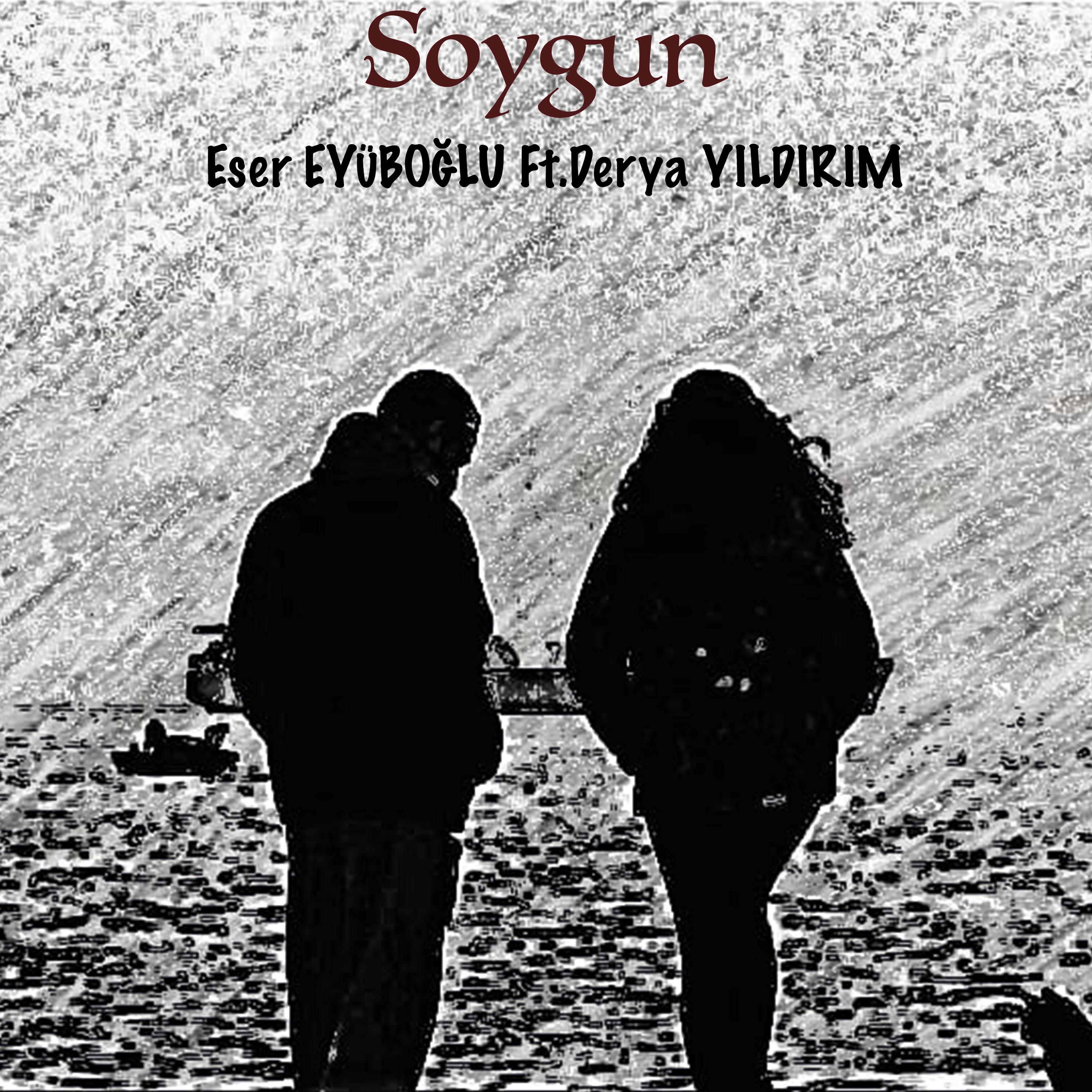Постер альбома Soygun