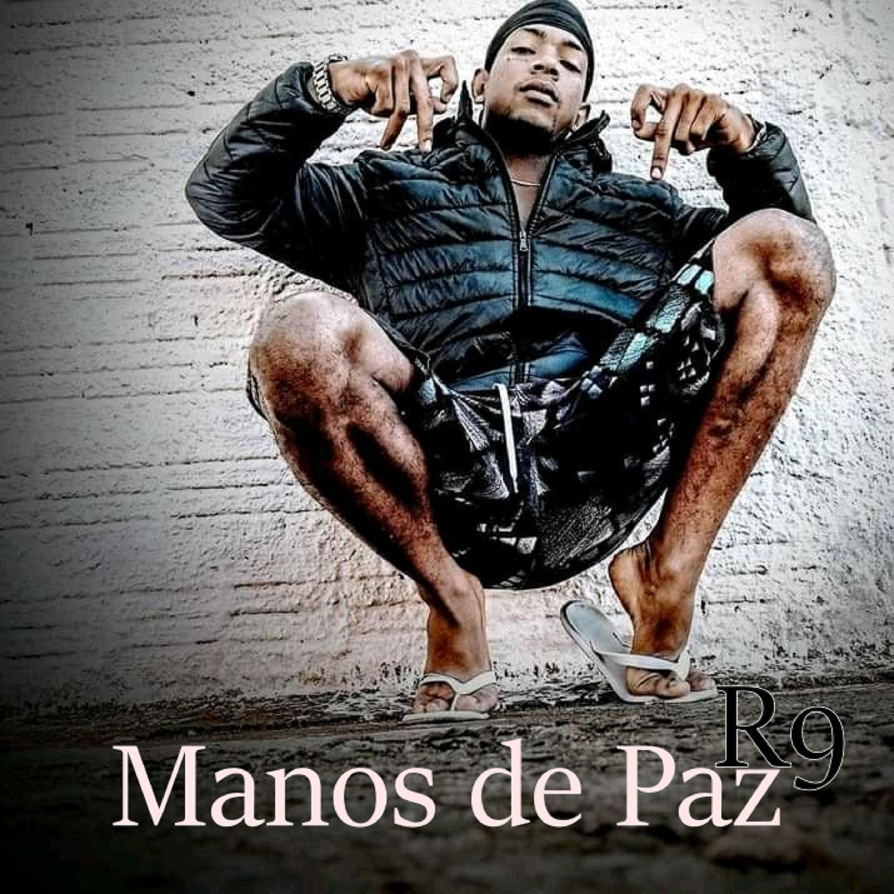 Постер альбома Manos de Paz