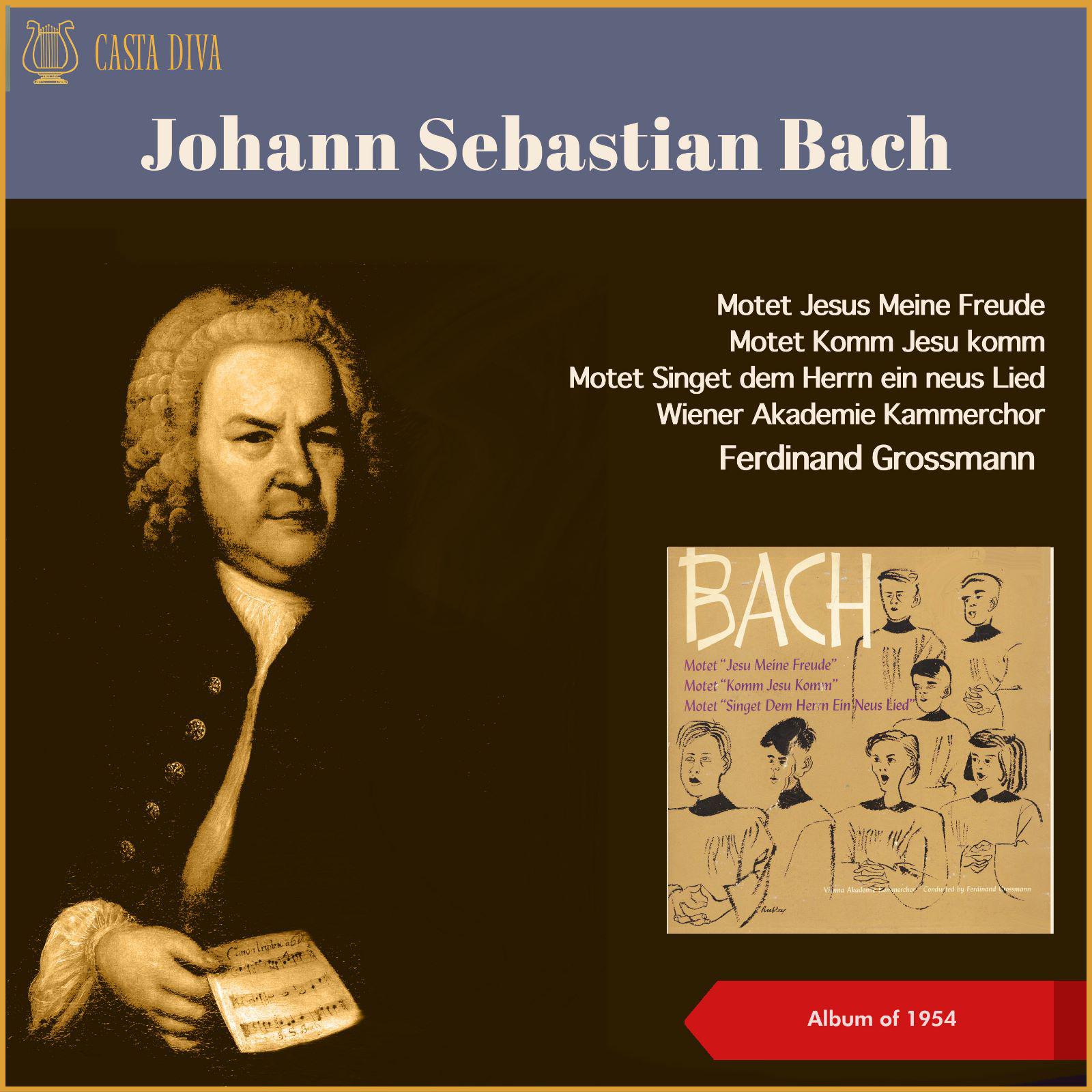 Постер альбома Johann Sebastian Bach: Motetten