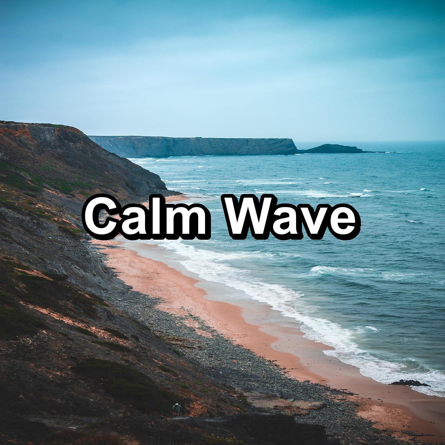 Постер альбома Calm Wave