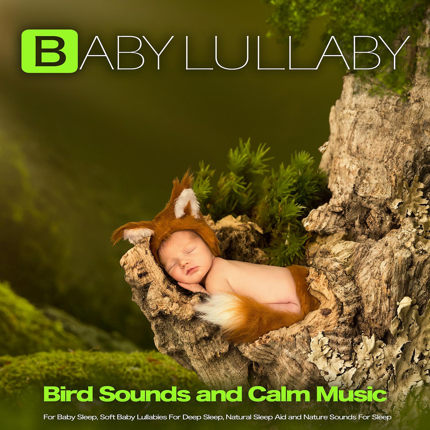 Постер альбома Baby Lullaby: Bird Sounds and Calm Music For Baby Sleep, Soft Baby Lullabies For Deep Sleep, Natural Sleep Aid and Nature Sounds For Sleep