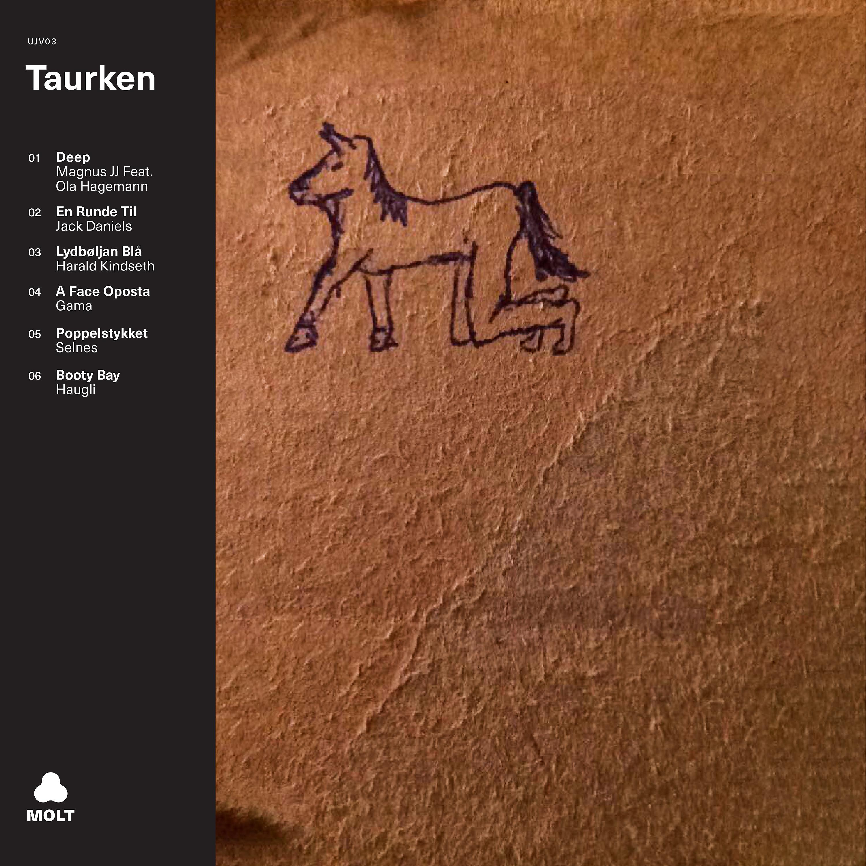 Постер альбома Taurken