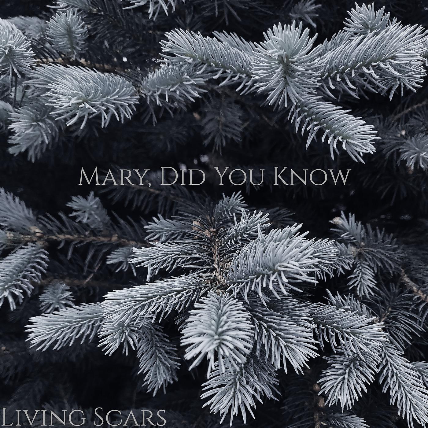 Постер альбома Mary, Did You Know