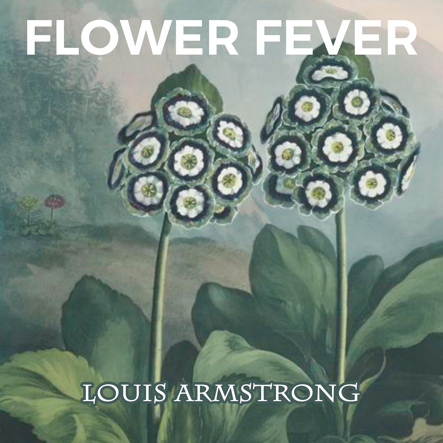 Постер альбома Flower Fever