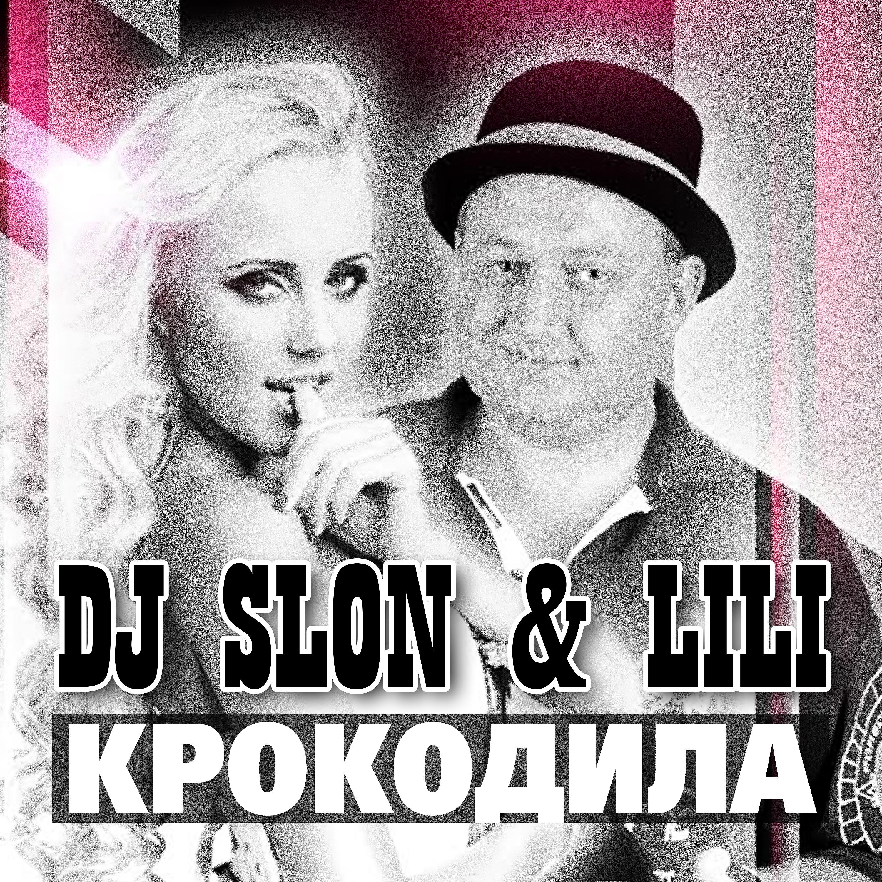 Постер альбома Krokodila (DJ Slon Radio Edit)
