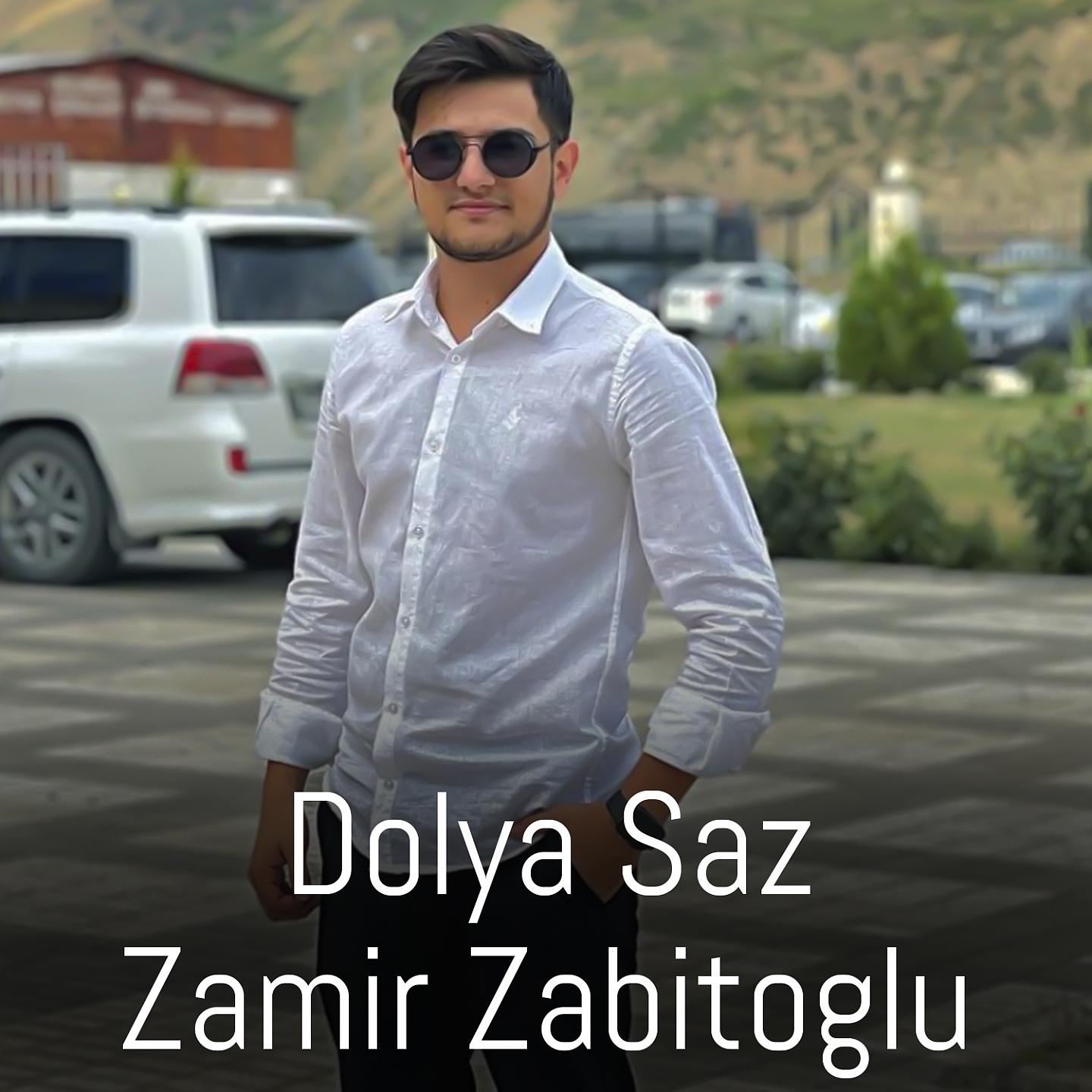 Постер альбома Dolya Saz