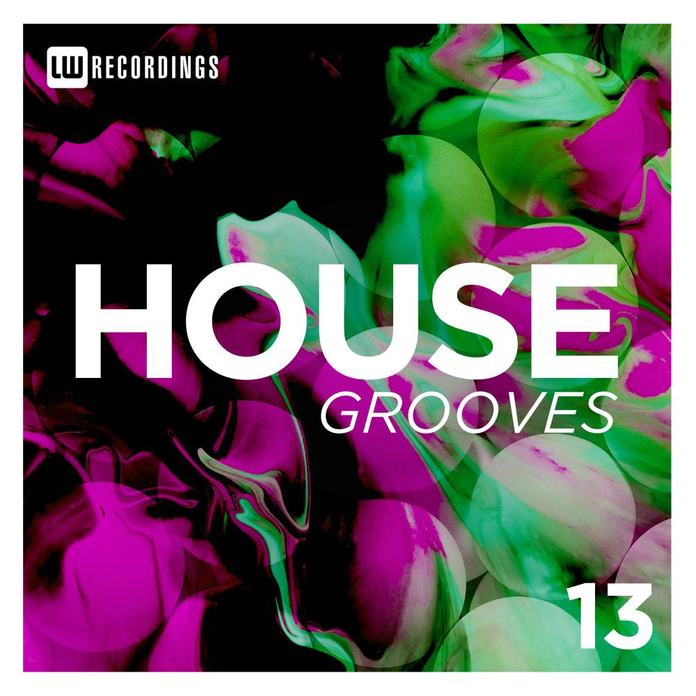 Постер альбома House Grooves, Vol. 13