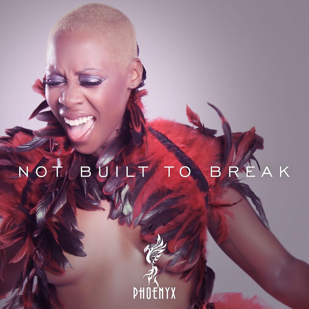 Постер альбома Not Built to Break