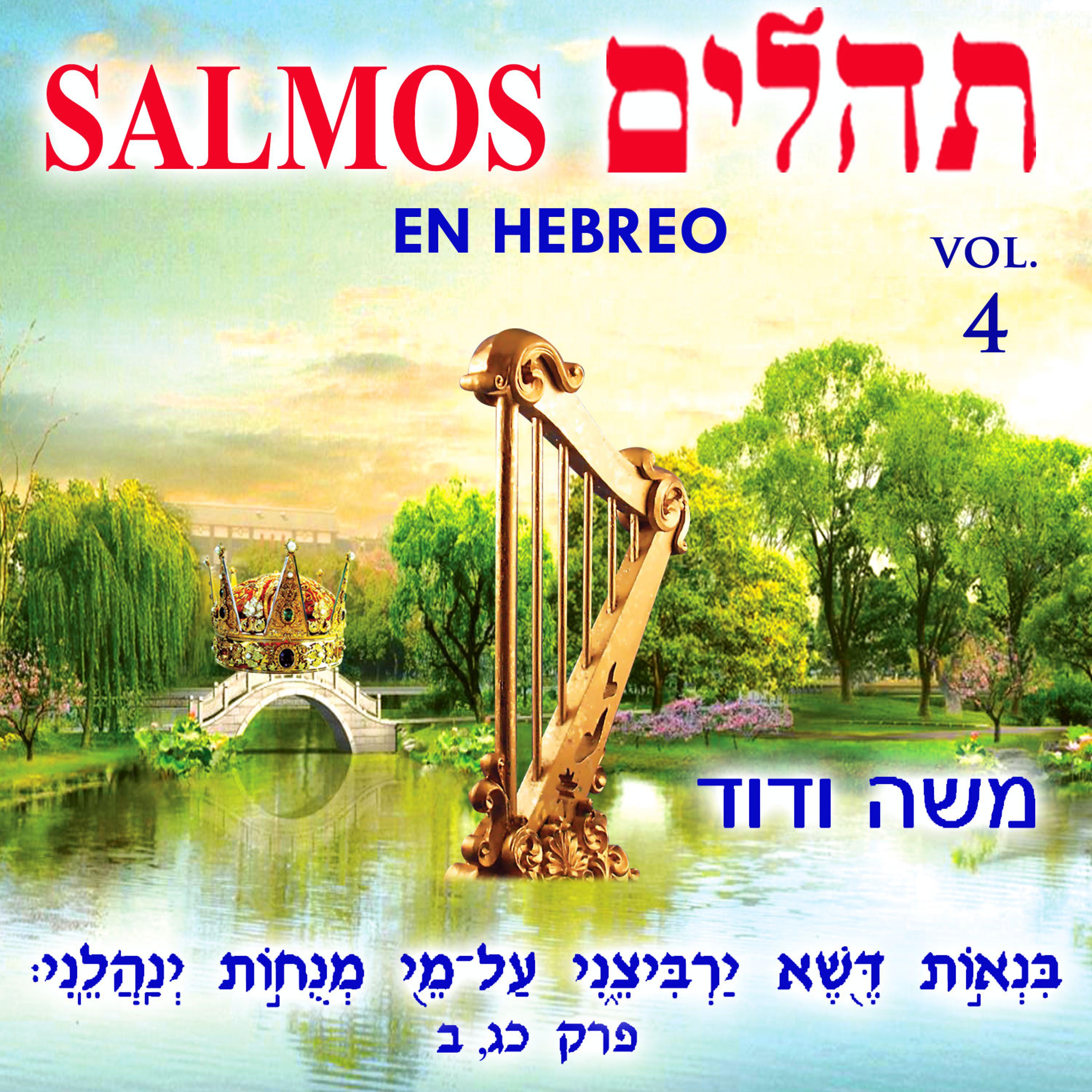 Постер альбома Tehilim Salmos en Hebreo, Vol. 4