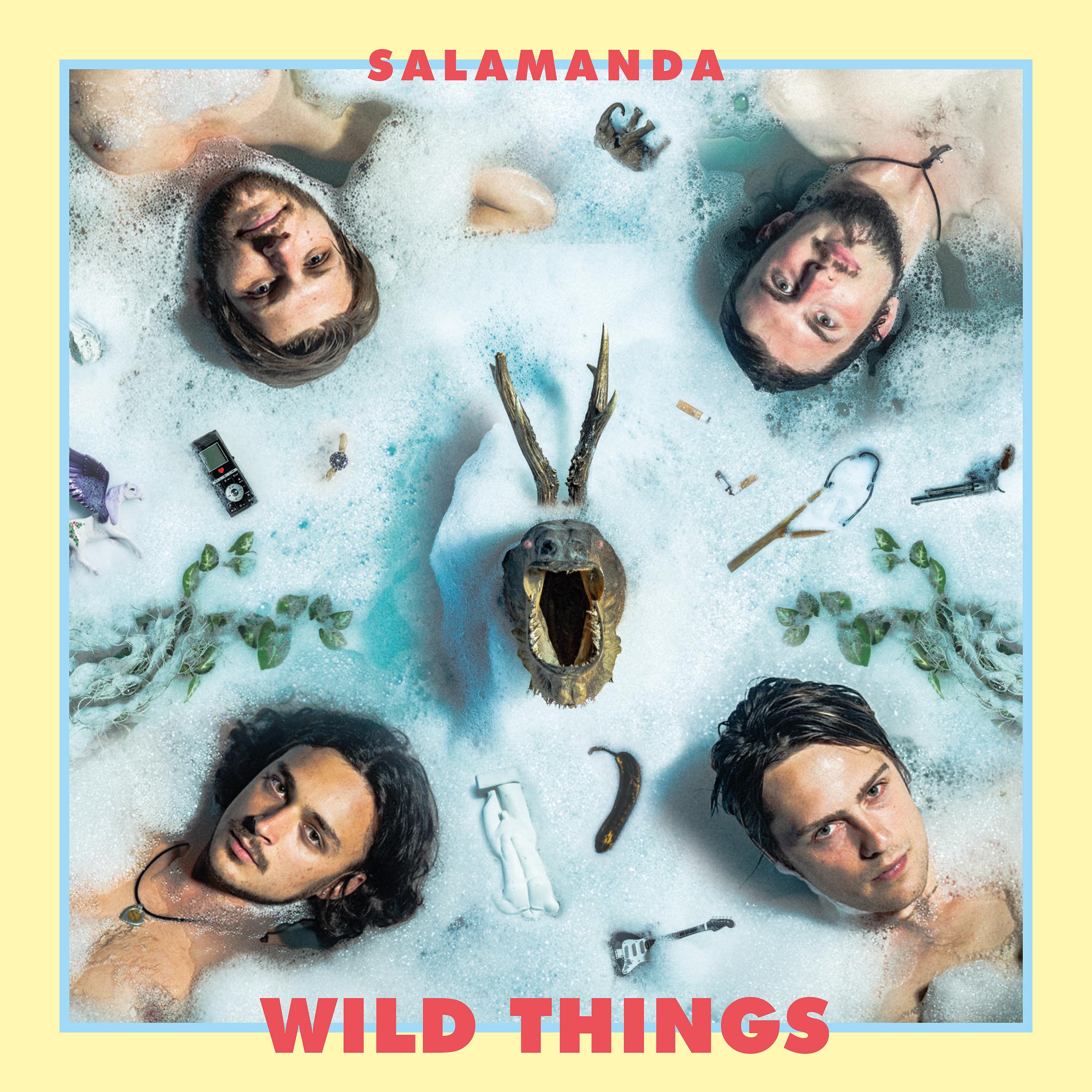 Постер альбома Wild Things