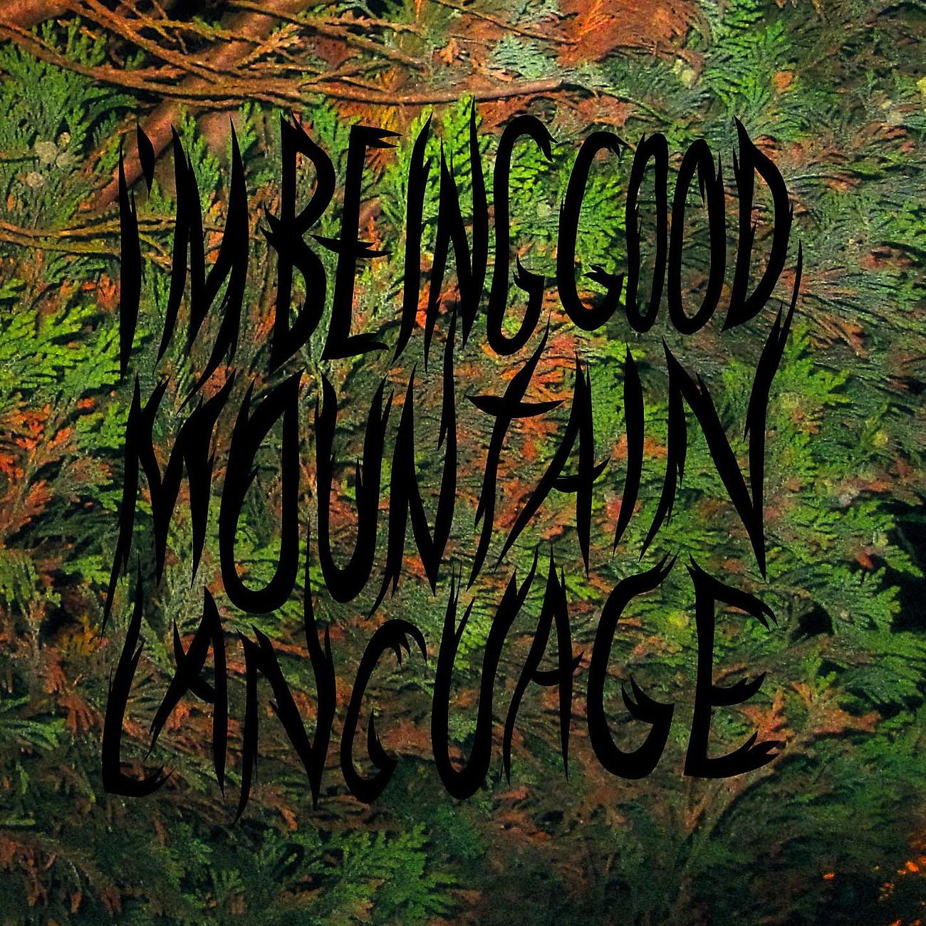 Постер альбома Mountain Language