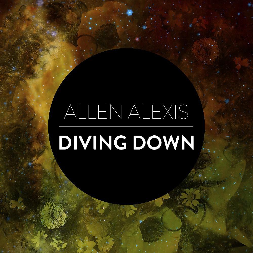 Постер альбома Diving Down
