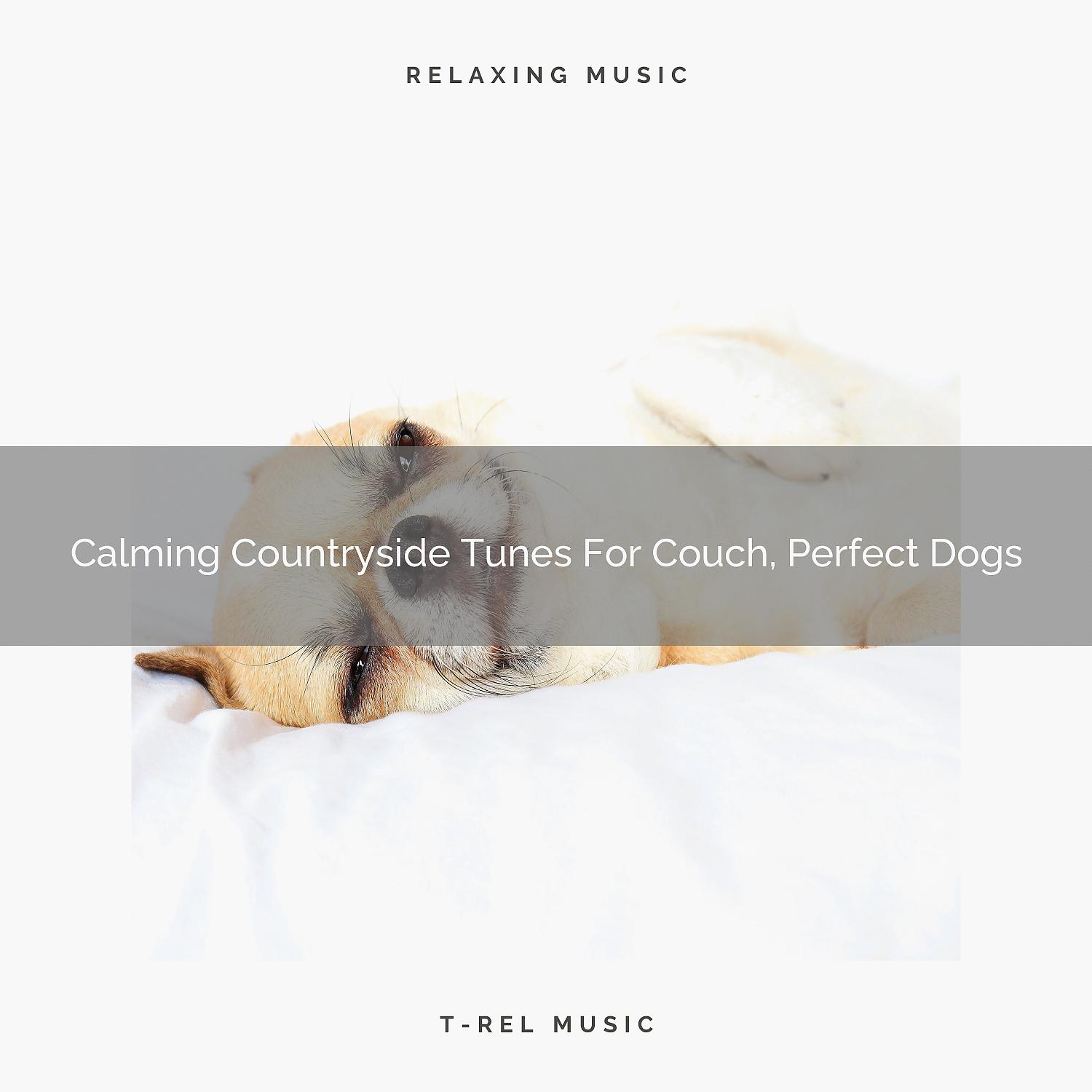 Постер альбома Calming Countryside Tunes For Couch, Perfect Dogs