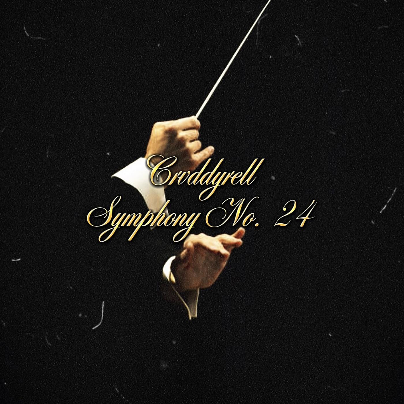 Постер альбома Symphony No. 24