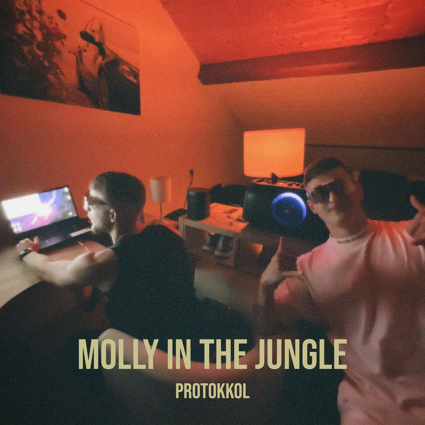 Постер альбома Molly in the Jungle