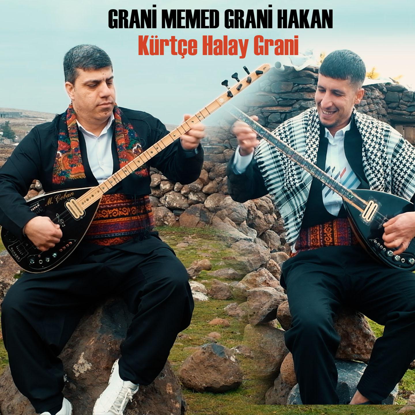 Постер альбома Kürtçe Halay Grani