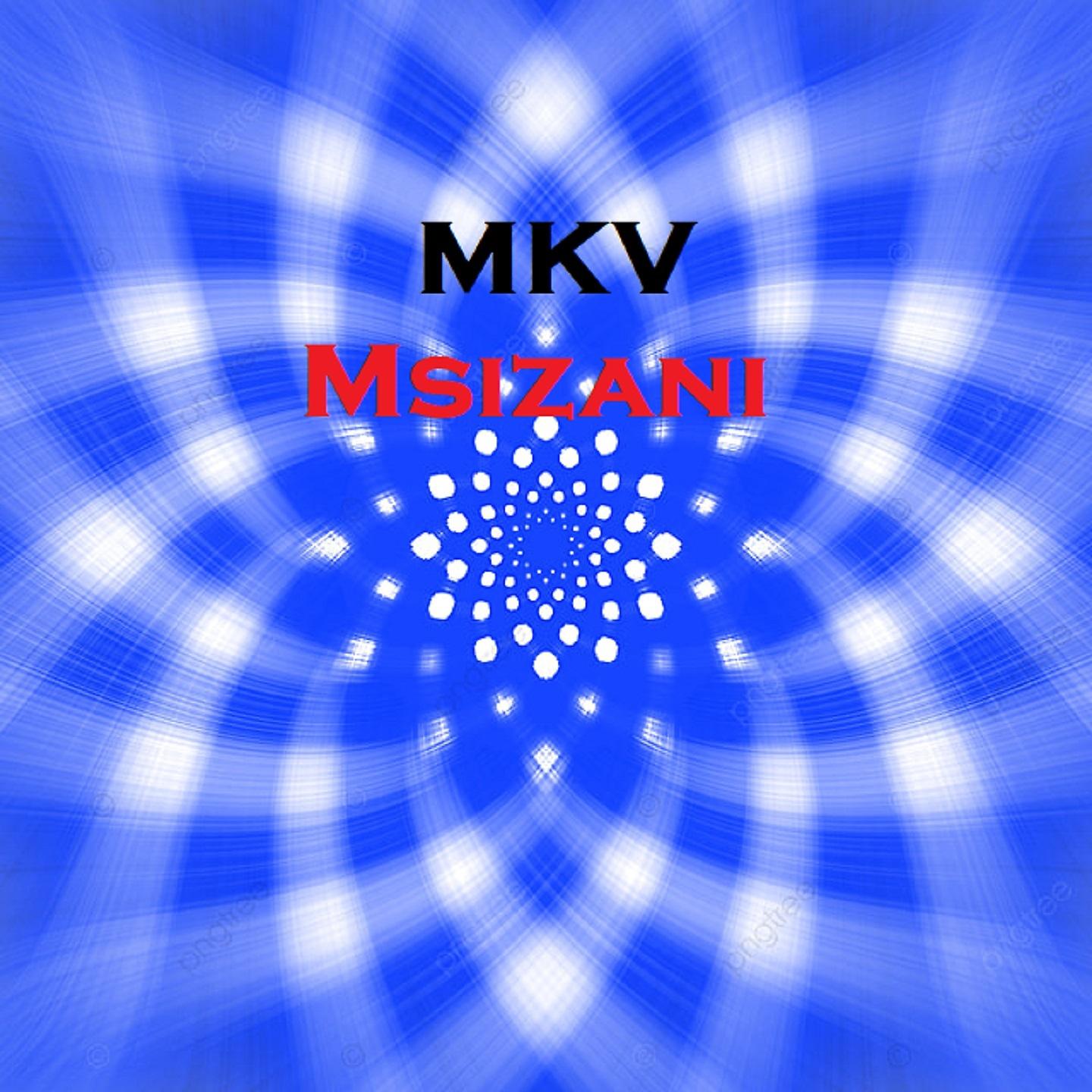 Постер альбома Msizani